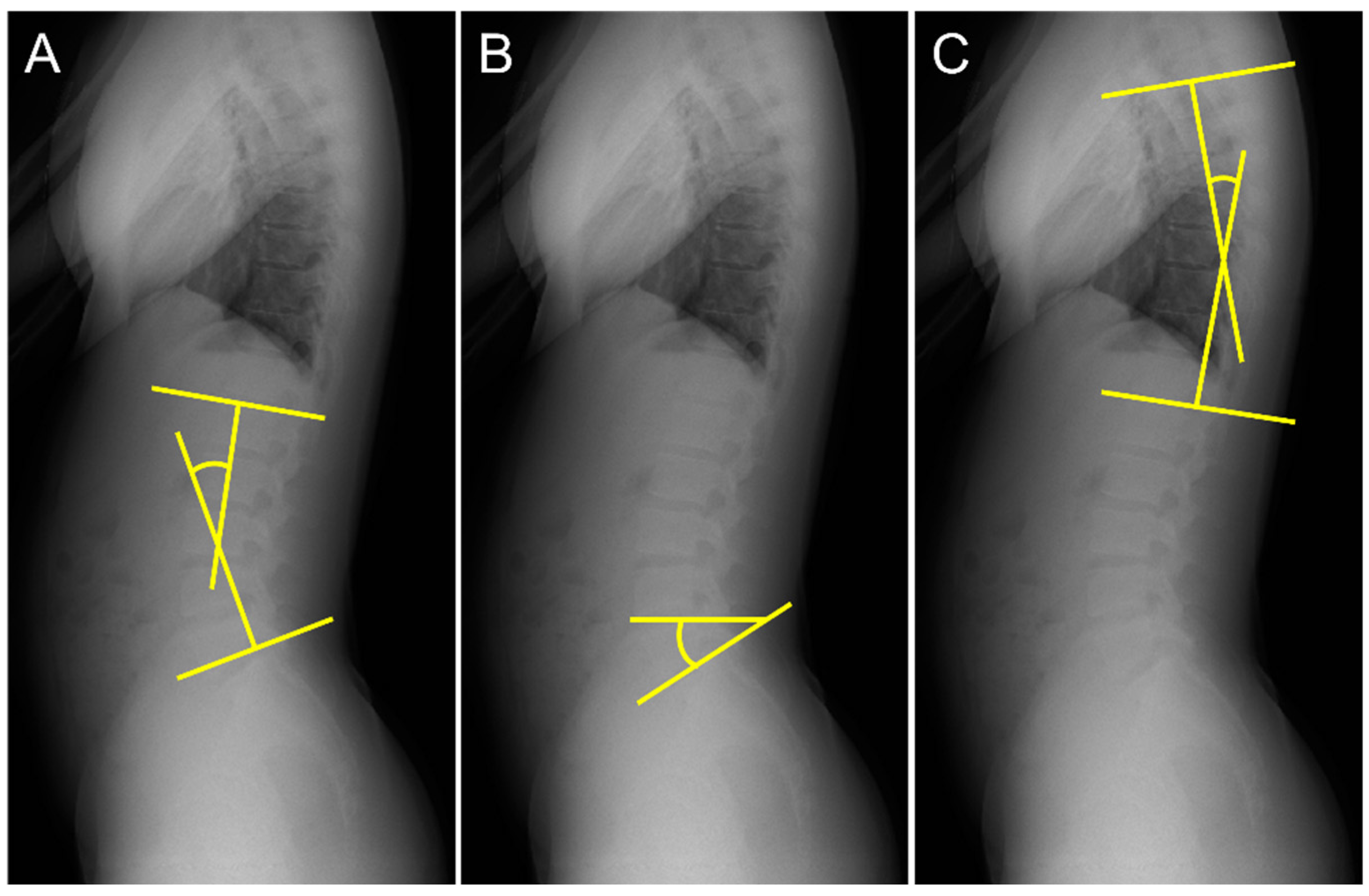 Ijerph 20 03231 g002 Ijerph 20 03231 g002