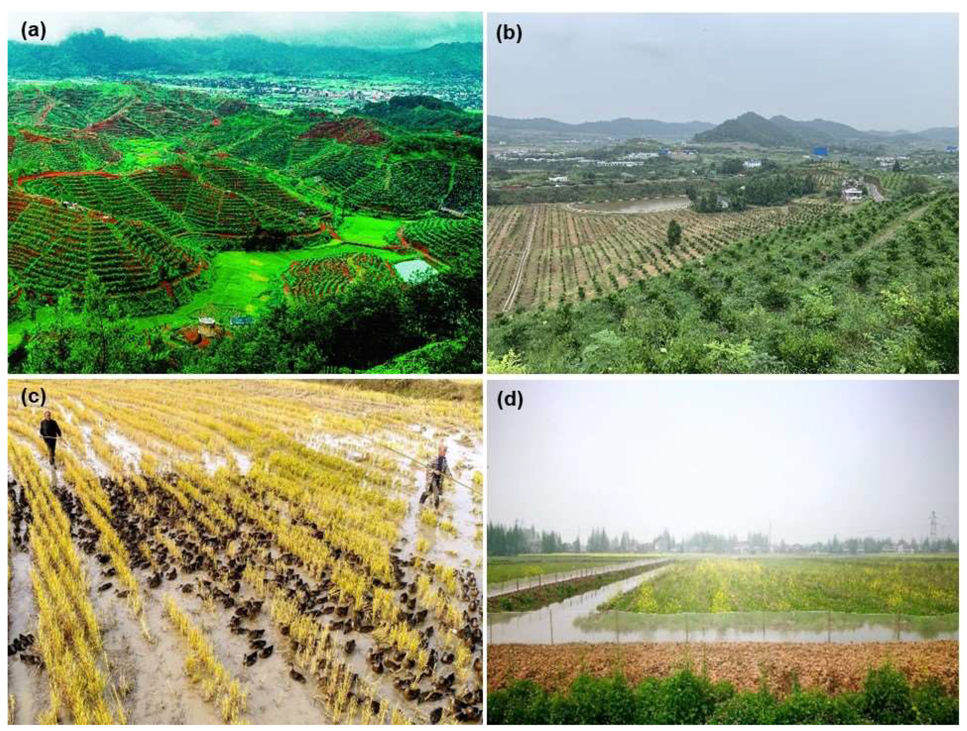 IJERPH | Free Full-Text | Coordinative Management of Soil