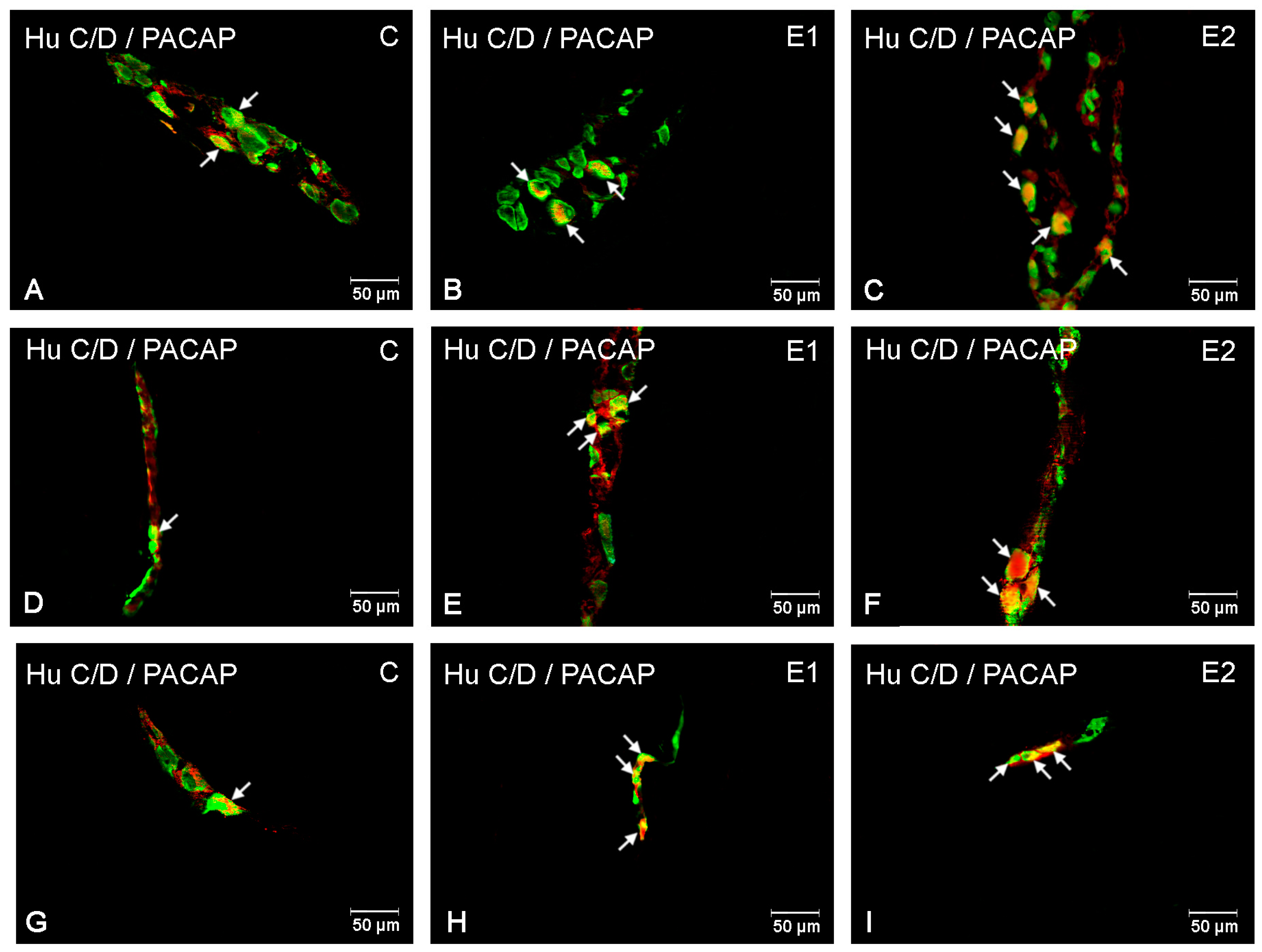 Ijerph 20 03272 g002