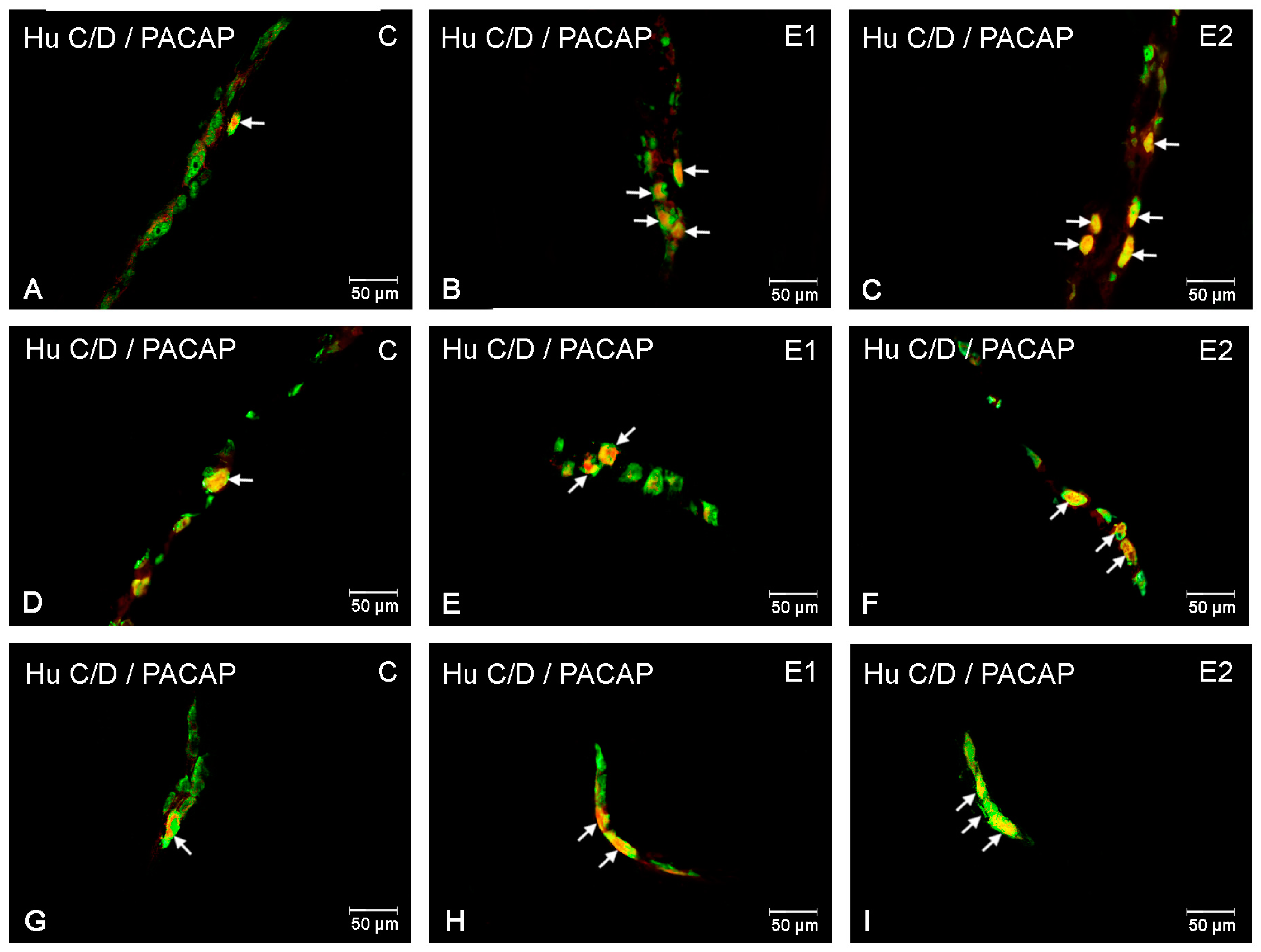 Ijerph 20 03272 g004