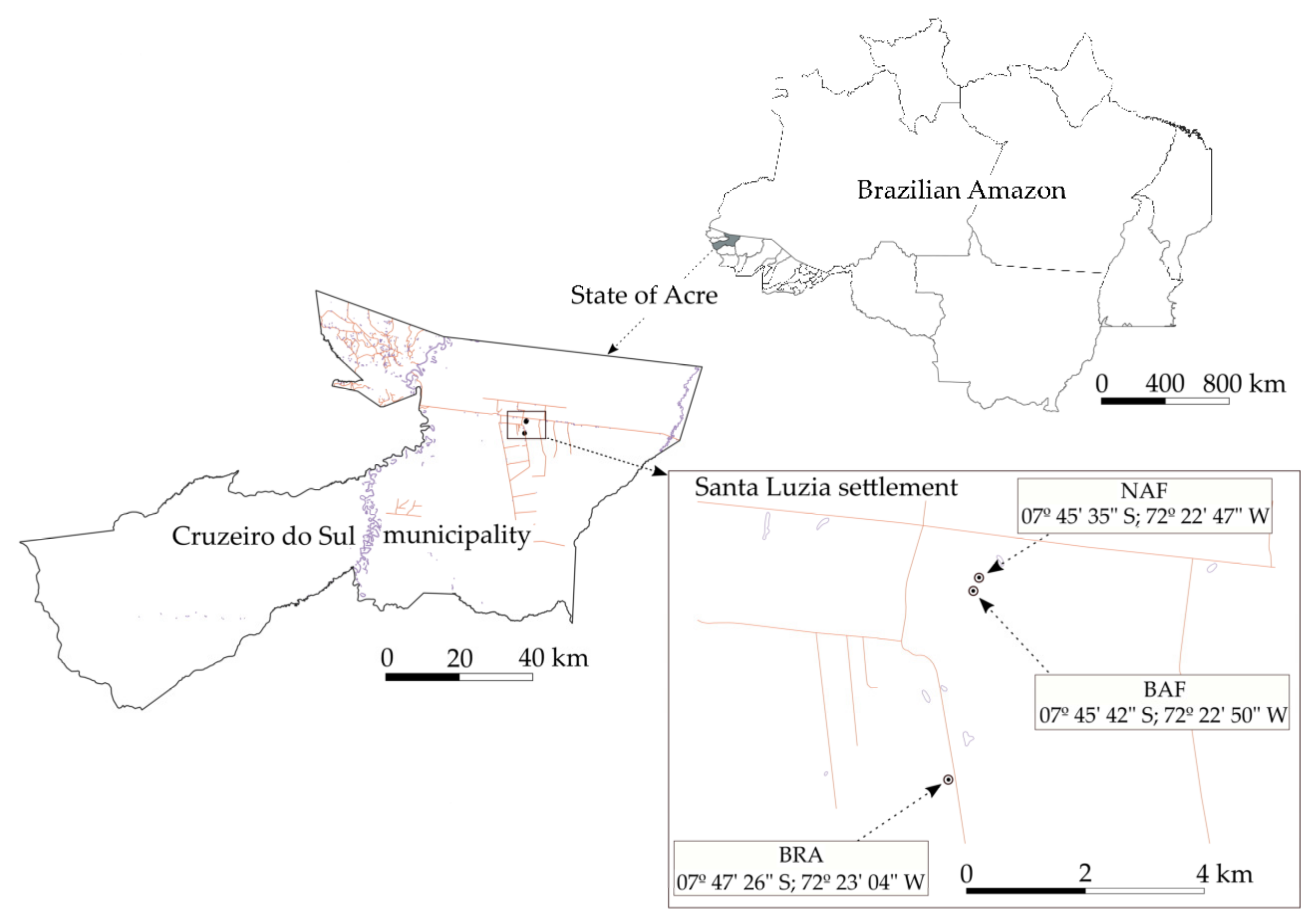 IJERPH | Free Full-Text | Soil Organic Matter Molecular Composition Shifts  Driven by Forest Regrowth or Pasture after Slash-and-Burn of Amazon Forest
