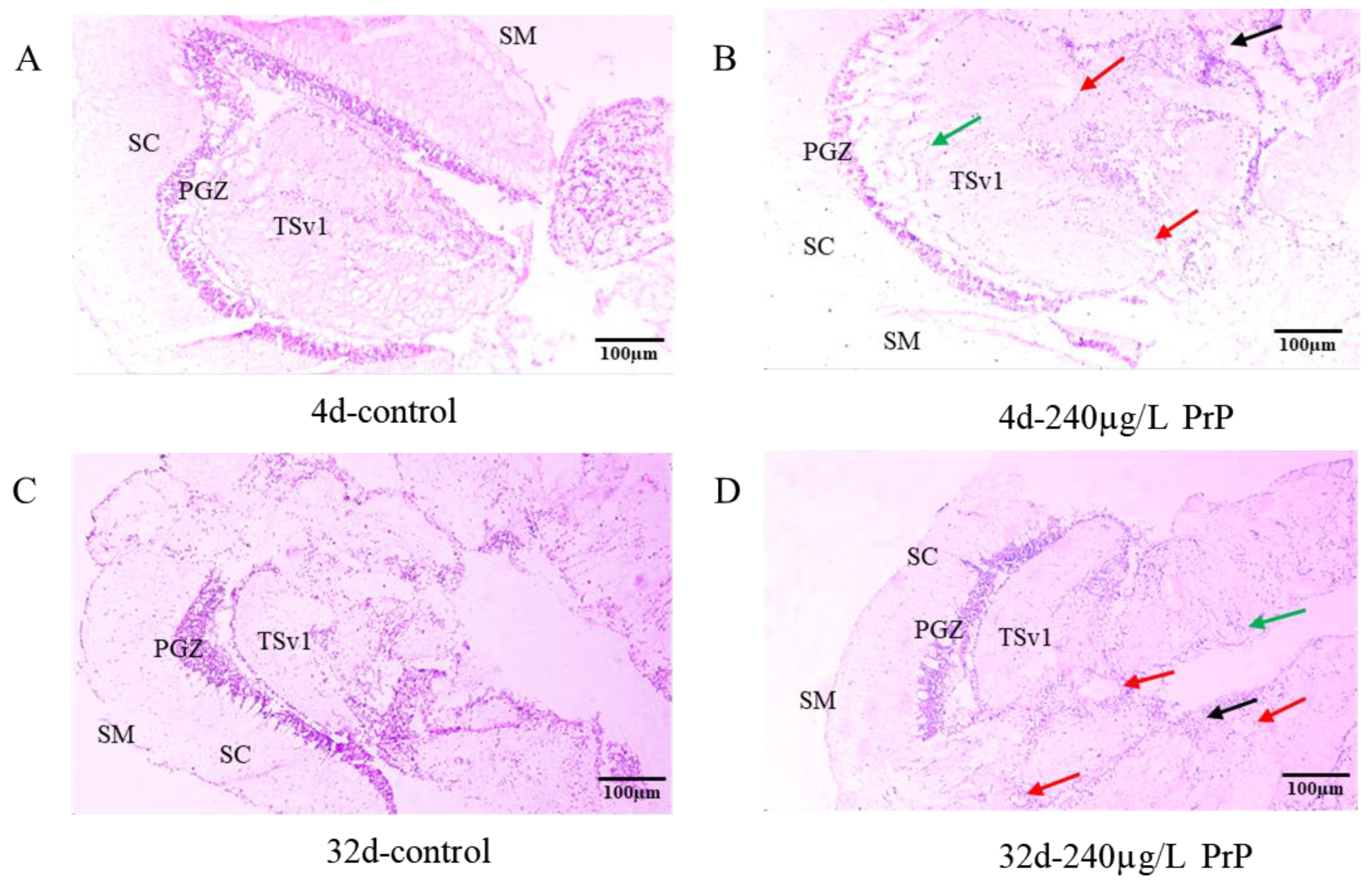 Ijerph 20 03557 g001a