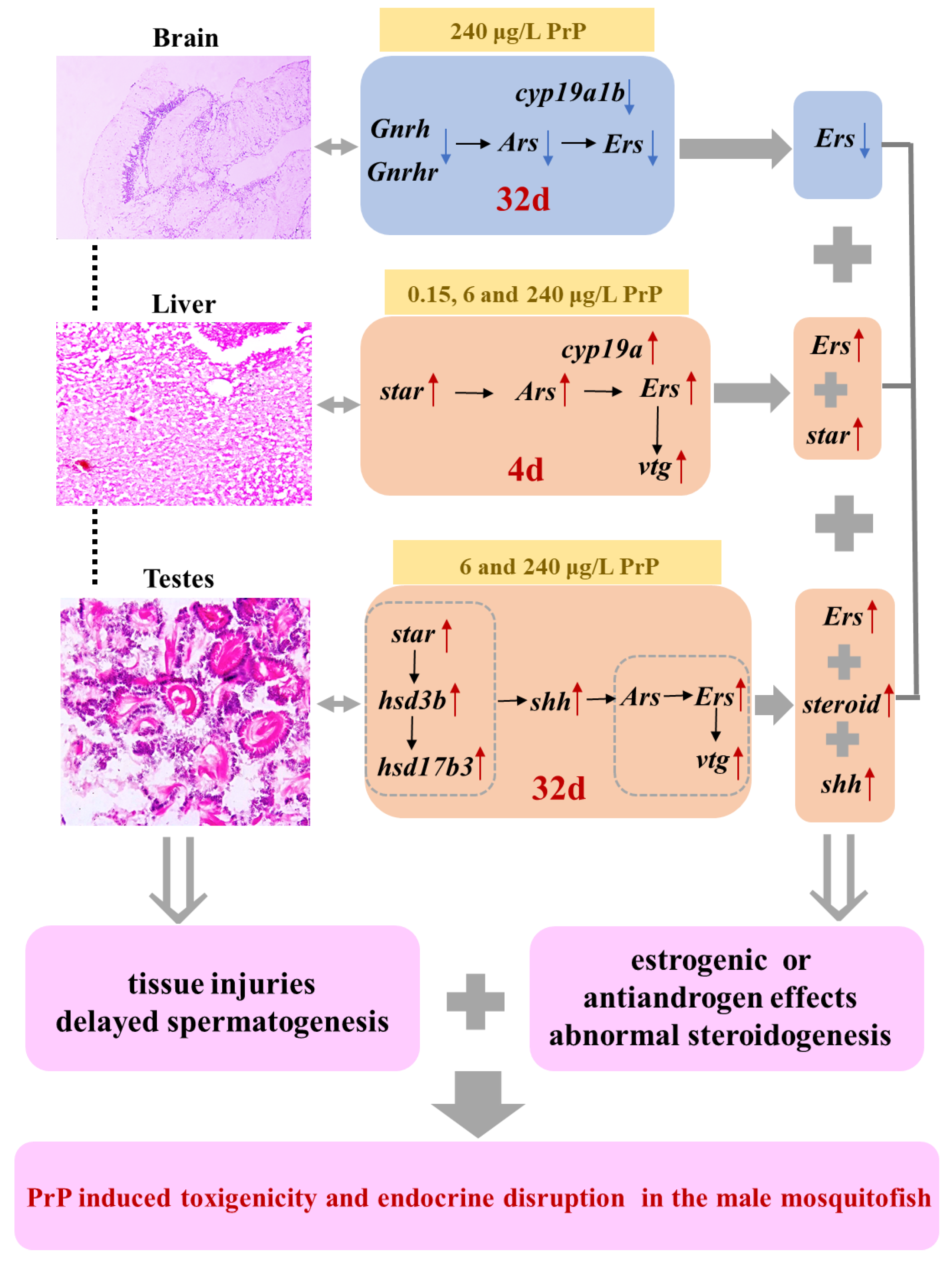 Ijerph 20 03557 g006