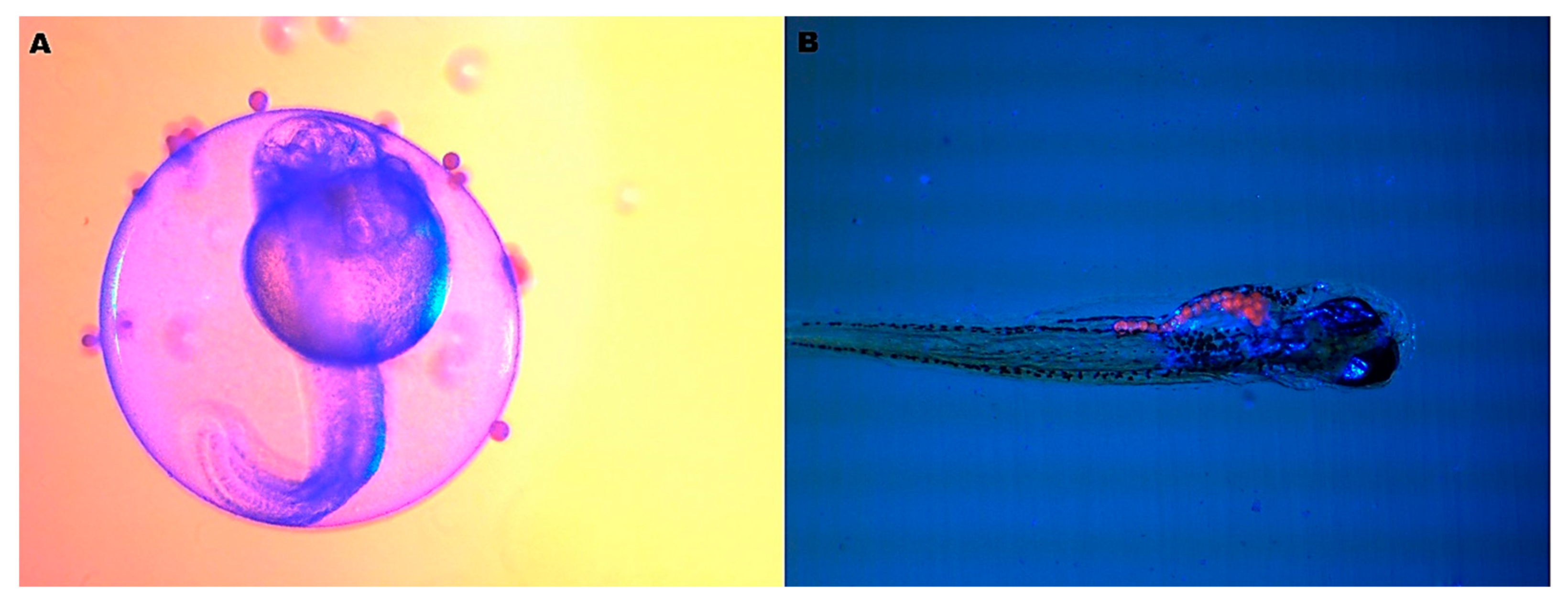 Ijerph 20 03617 g003