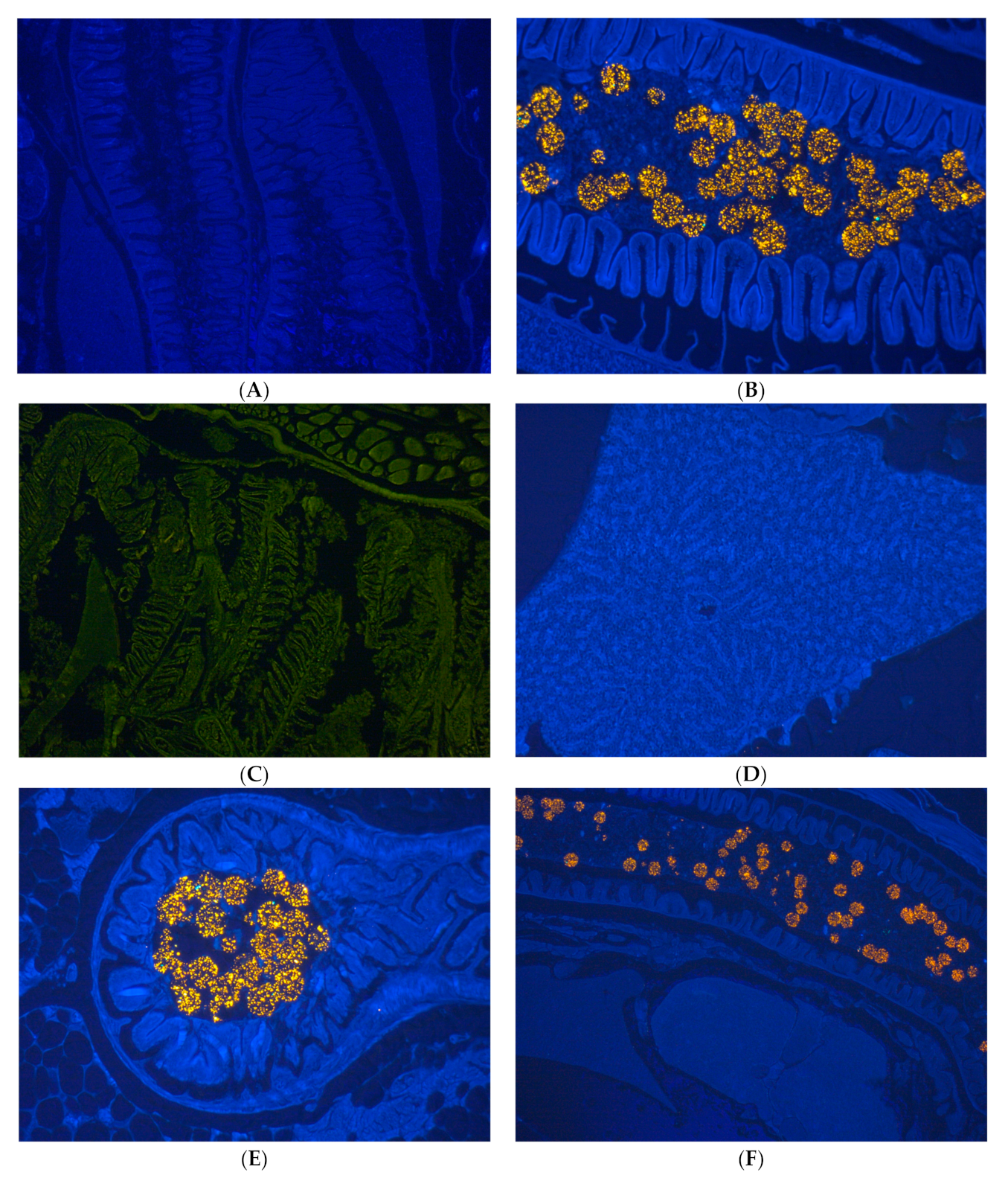 Ijerph 20 03617 g005