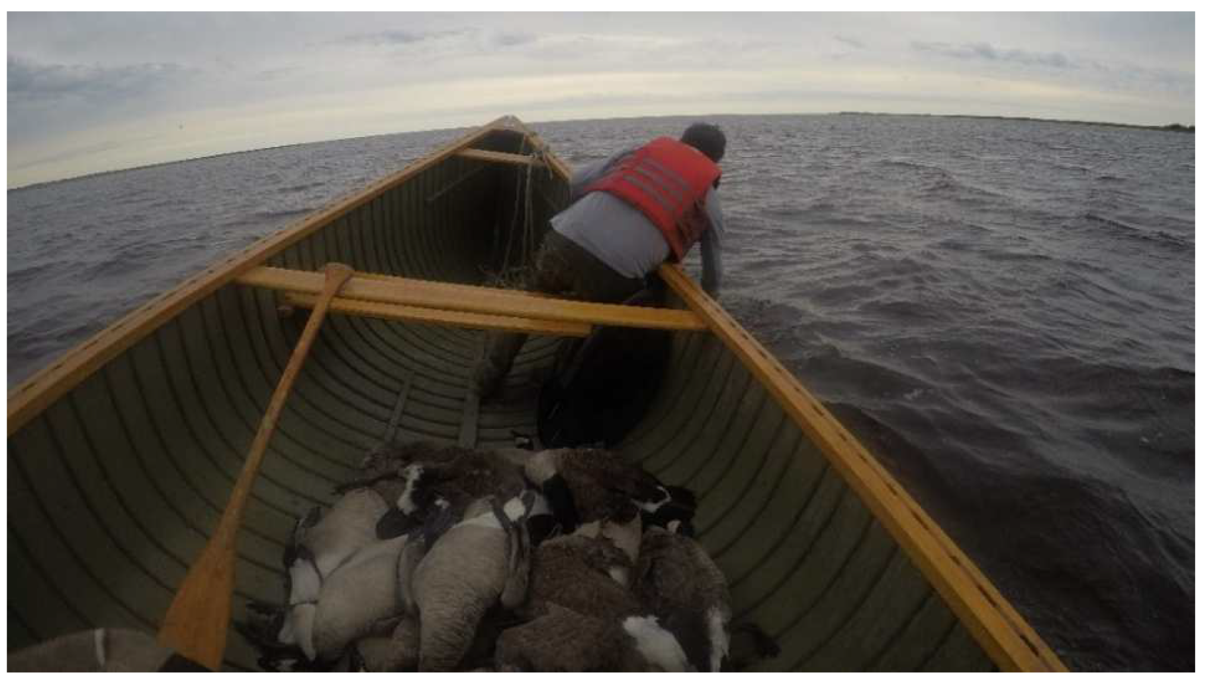 Ijerph 20 03686 g004 Ijerph 20 03686 g004