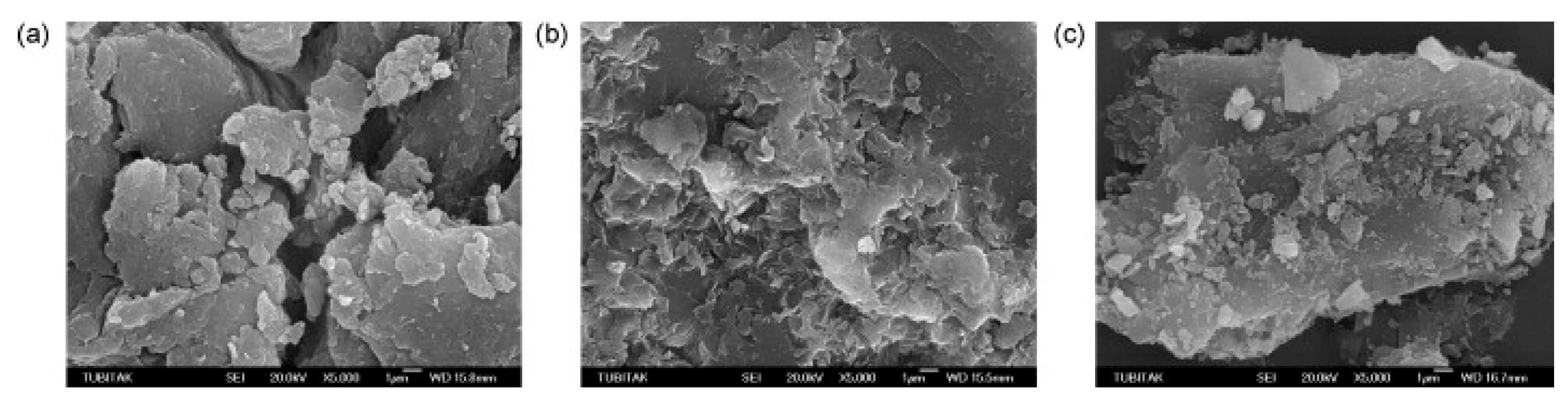 Ijerph 20 03829 g006