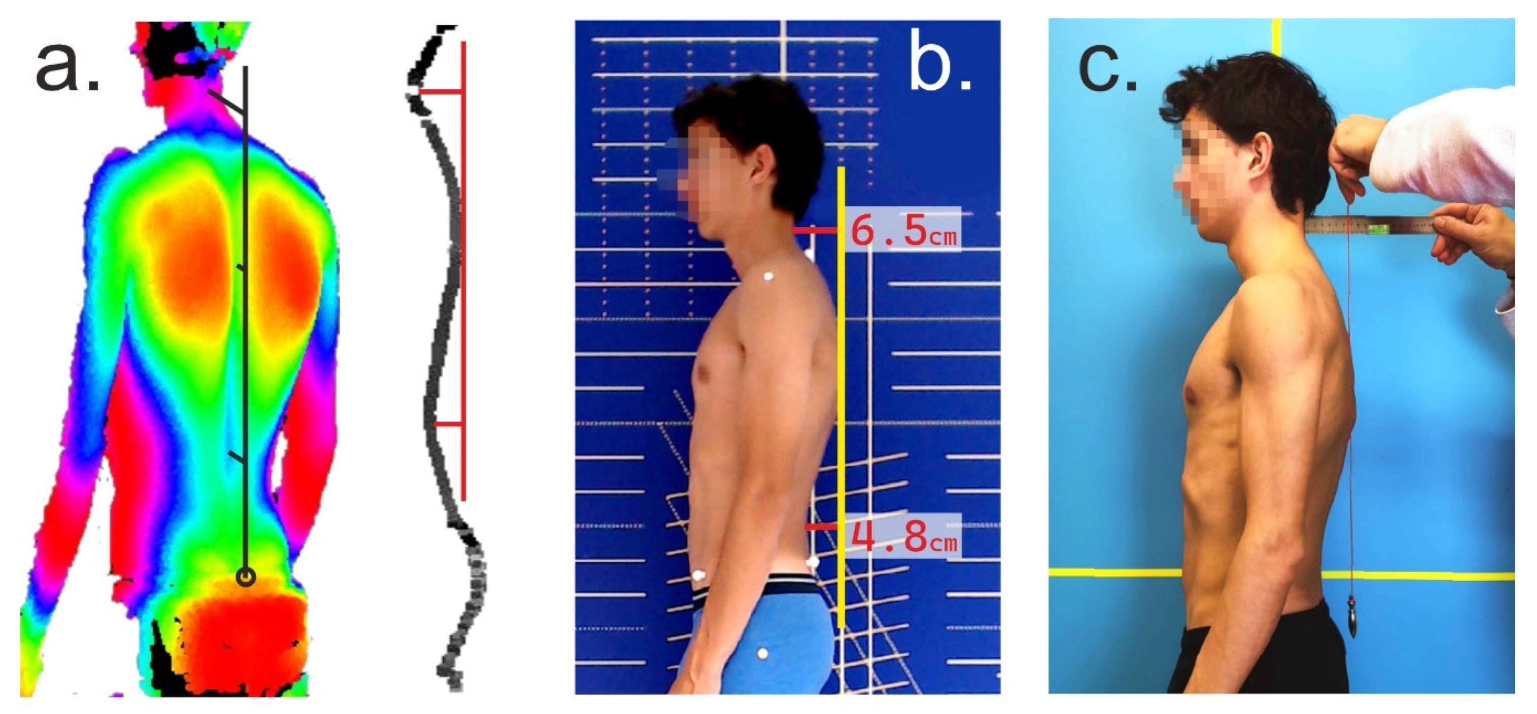 Ortopedico Orthopadisch Orthopedique Lumbar Lumbal Lombaire