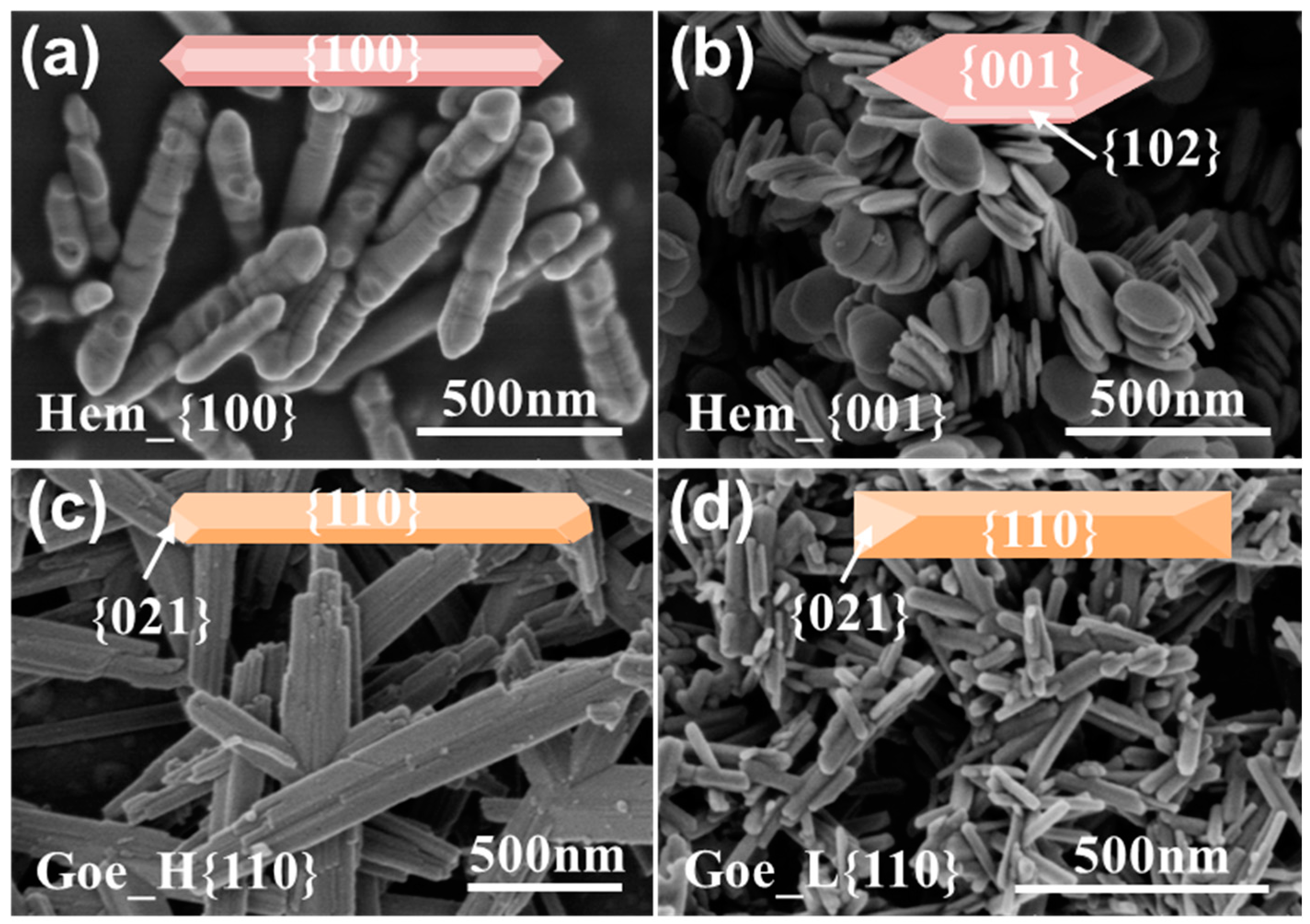 Ijerph 20 04247 g001 Ijerph 20 04247 g001