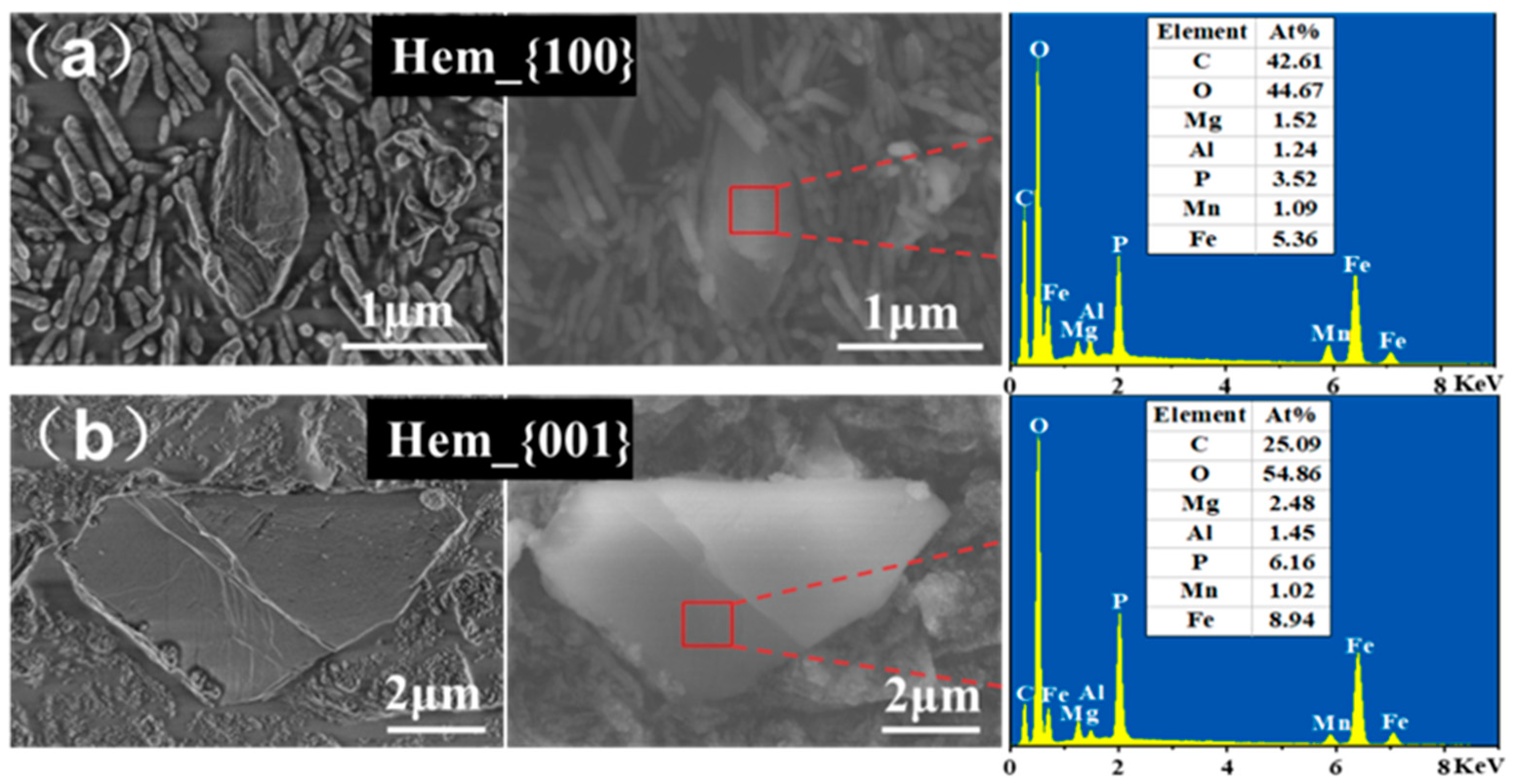 Ijerph 20 04247 g004 Ijerph 20 04247 g004
