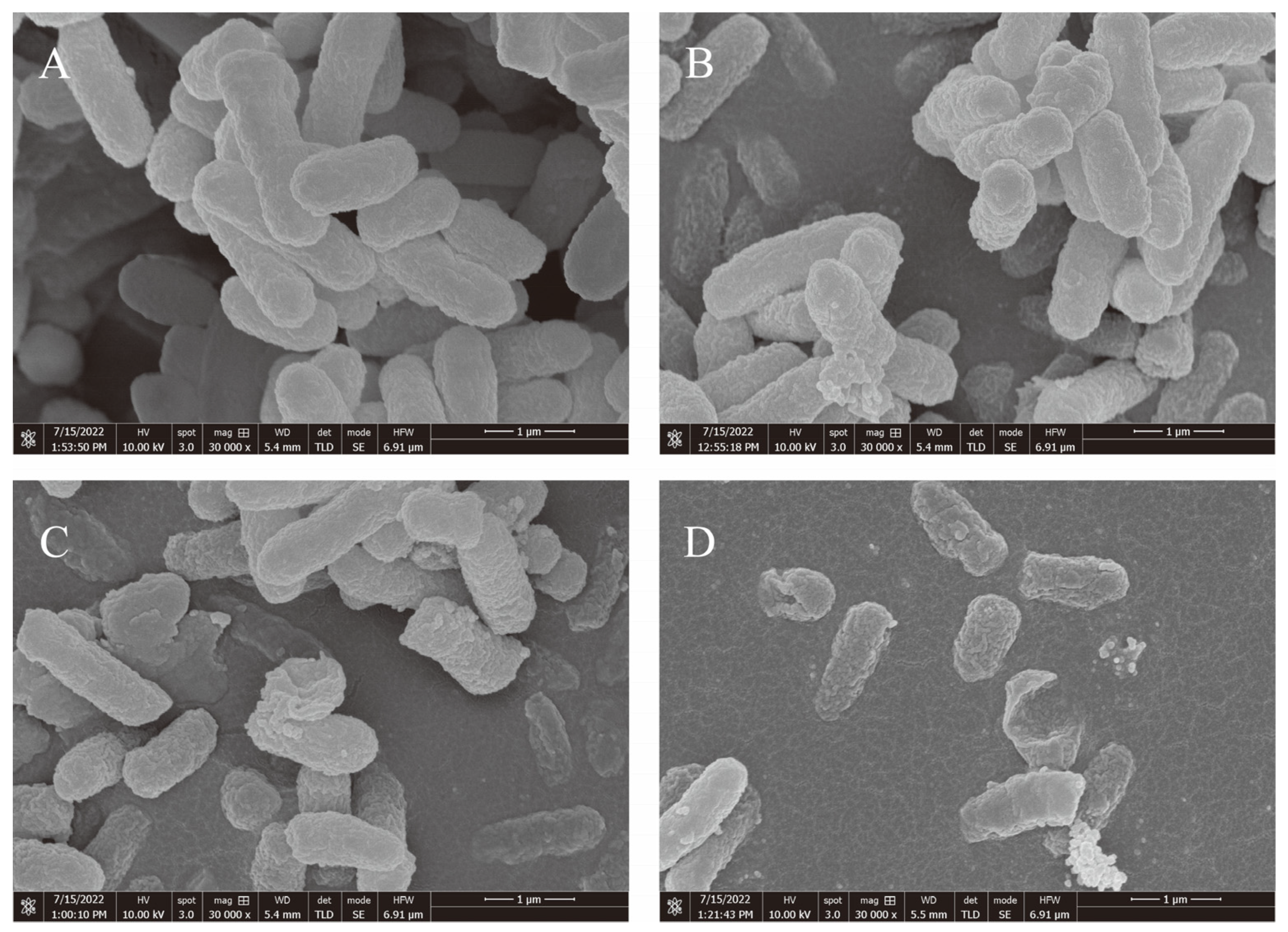 Ijerph 20 04676 g002 Ijerph 20 04676 g002