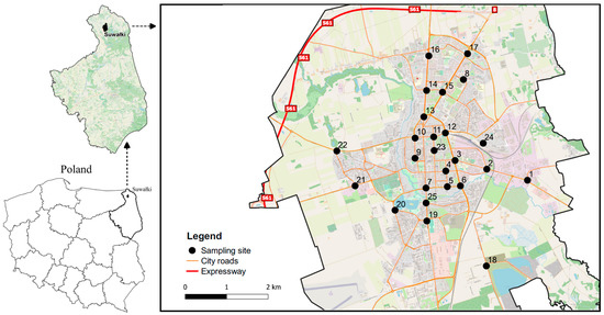 IJERPH | Free Full-Text | Spatial Distribution and Pollution Level of Heavy  Metals in Street Dust of the City of Suwa&#322;ki (Poland)