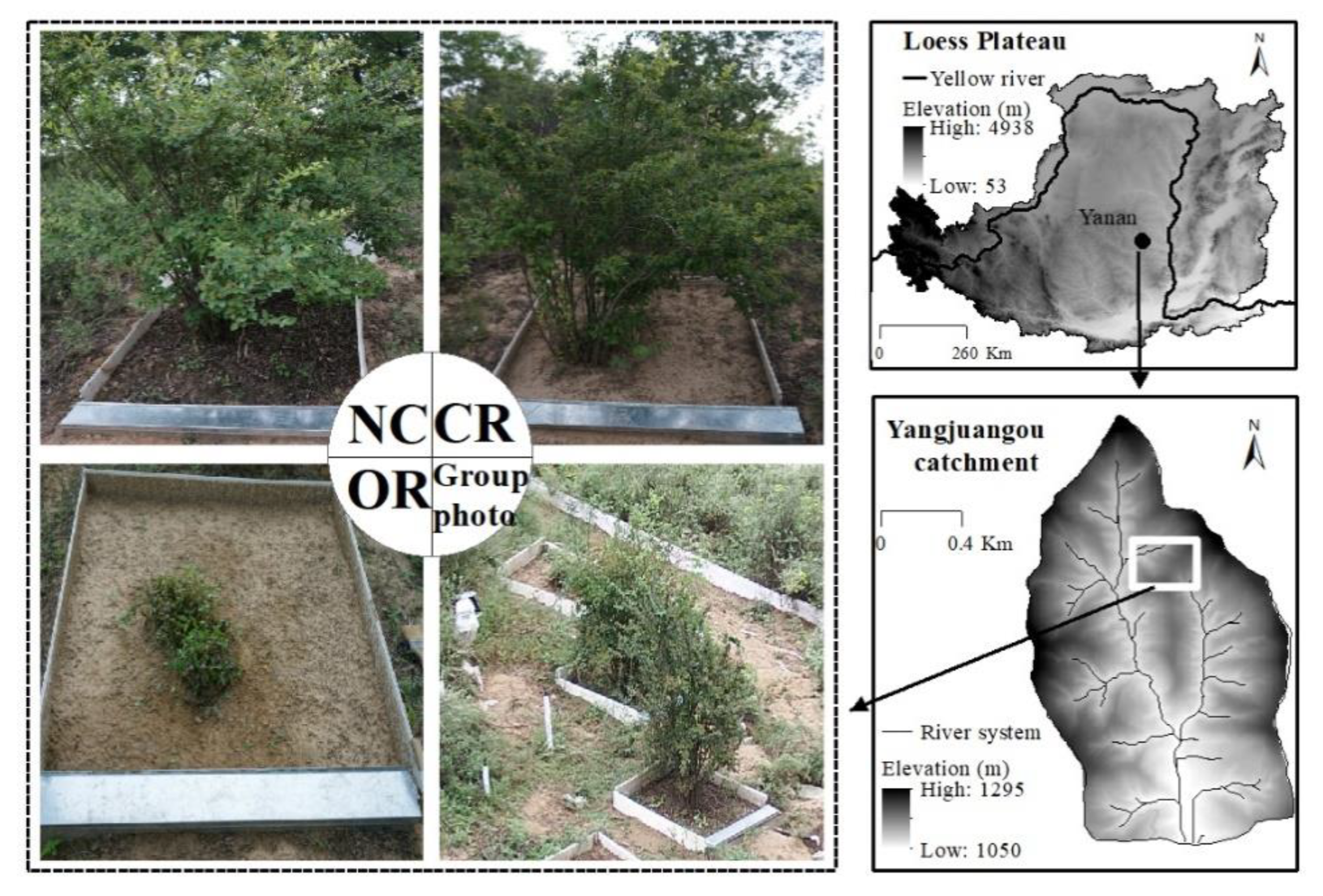 Ijerph 20 04722 g001 Ijerph 20 04722 g001