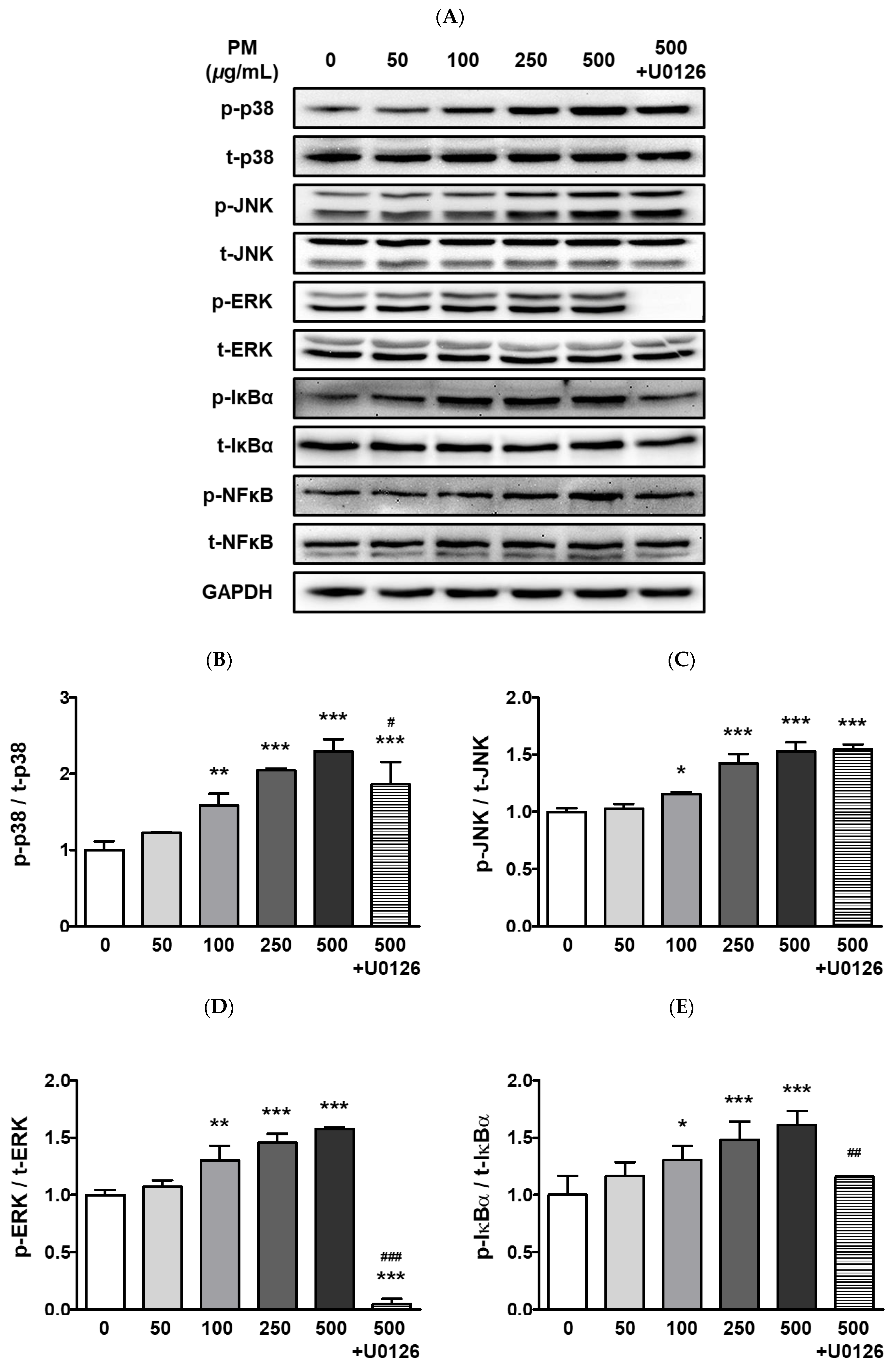 Ijerph 20 04766 g002a Ijerph 20 04766 g002a