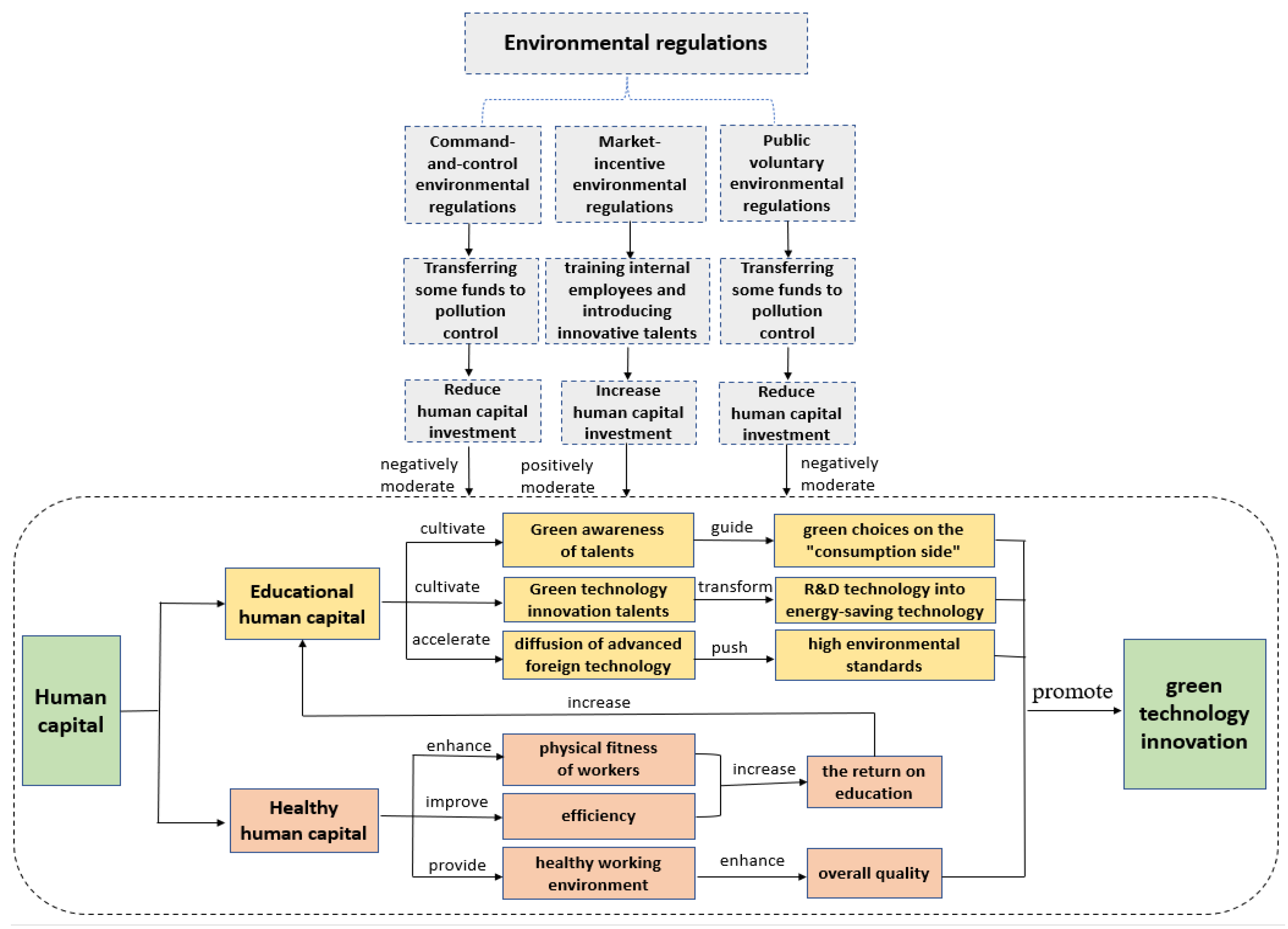 IJERPH | Free Full-Text | The Impact of Human Capital on Green Technology  Innovation&mdash;Moderating Role of Environmental Regulations