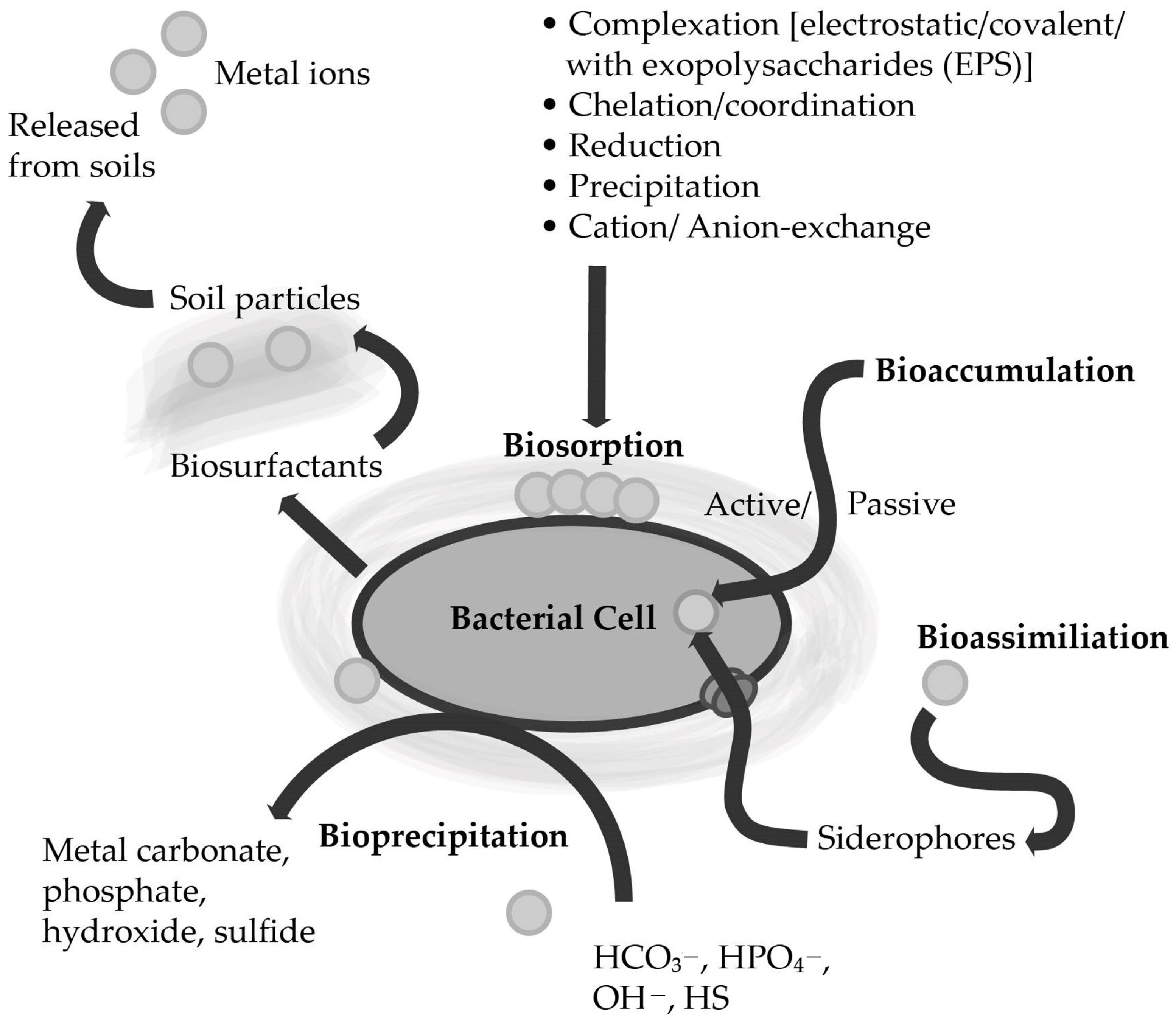 Ijerph 20 04964 g002 Ijerph 20 04964 g002