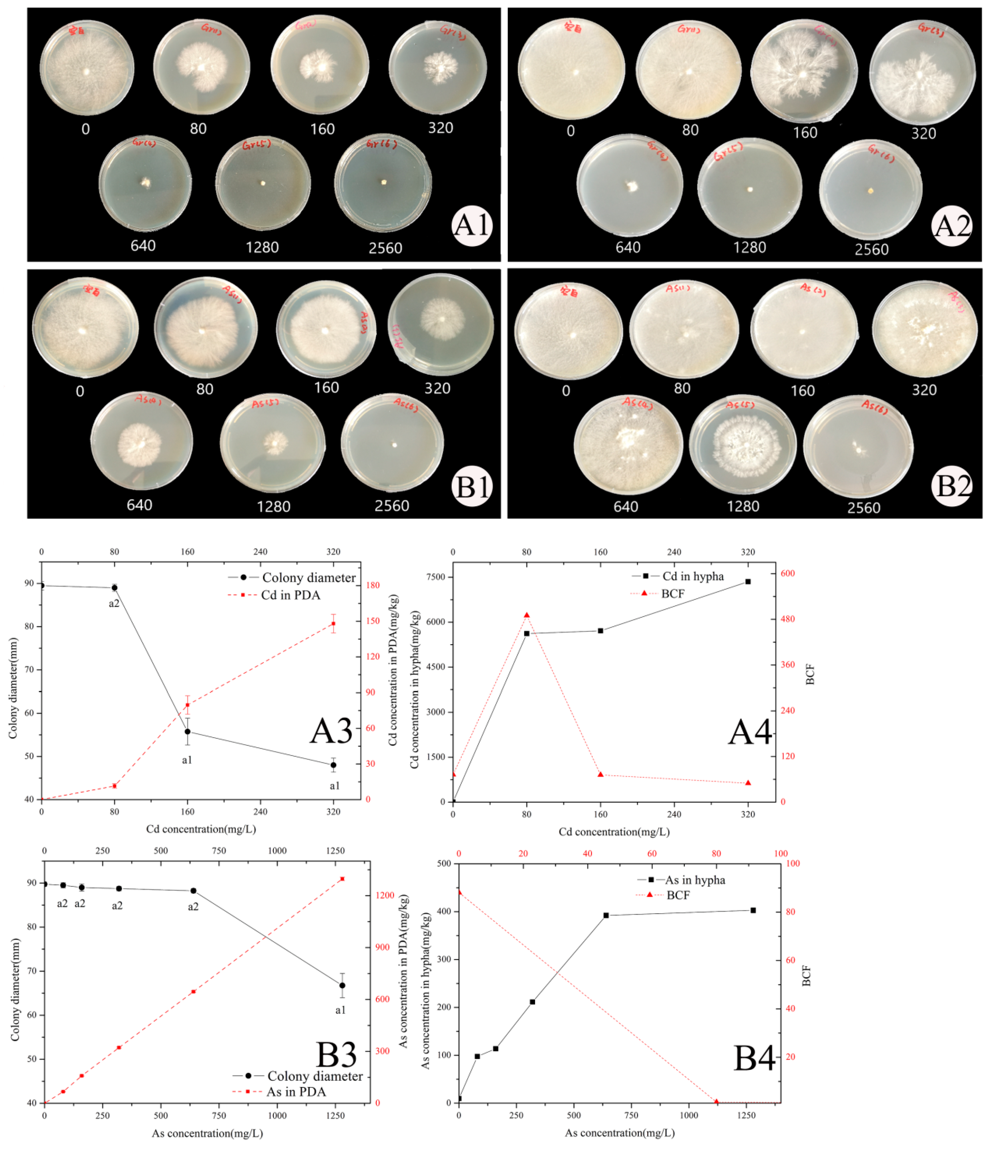 Ijerph 20 05056 g001 Ijerph 20 05056 g001