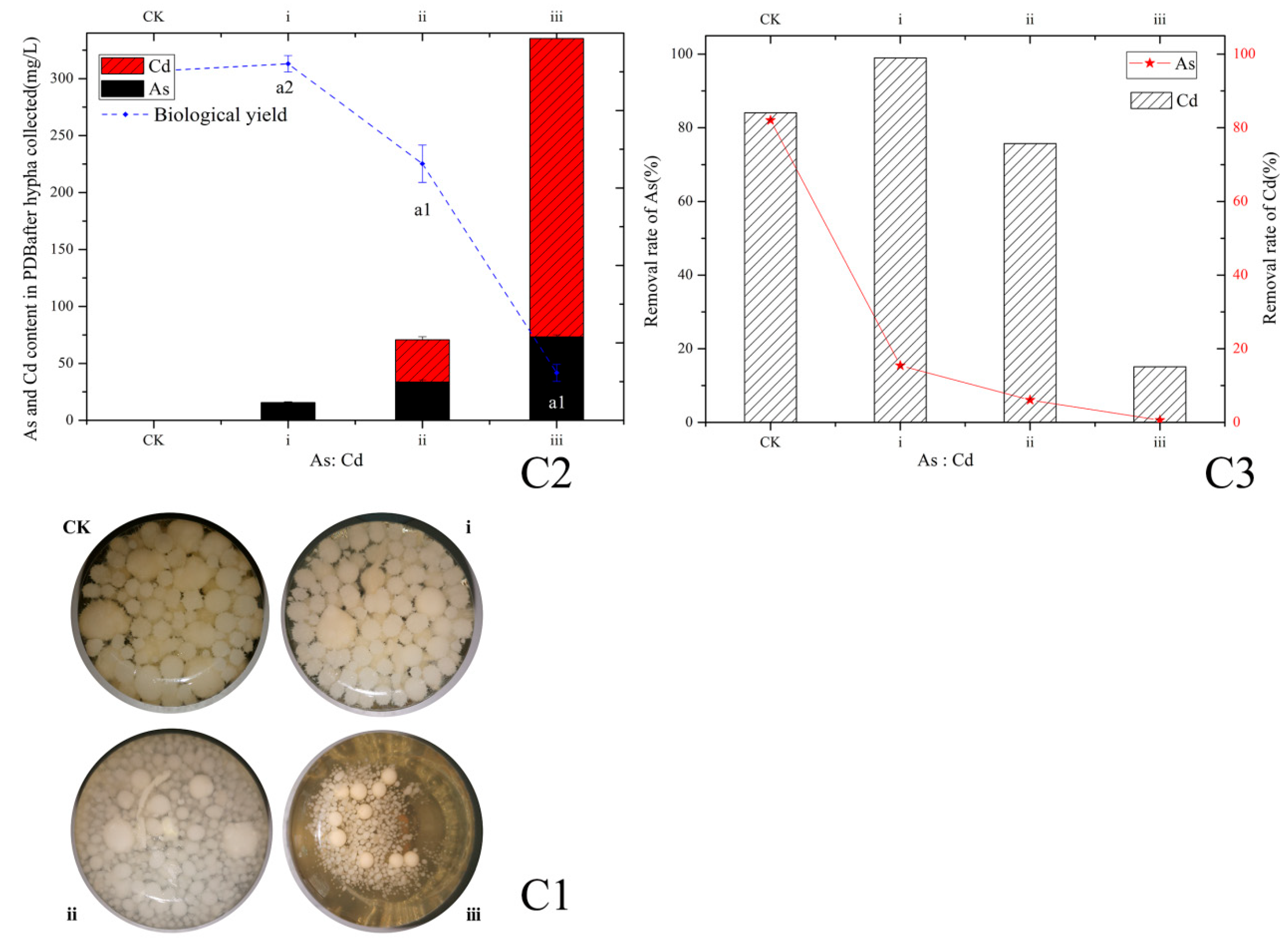 Ijerph 20 05056 g002 Ijerph 20 05056 g002