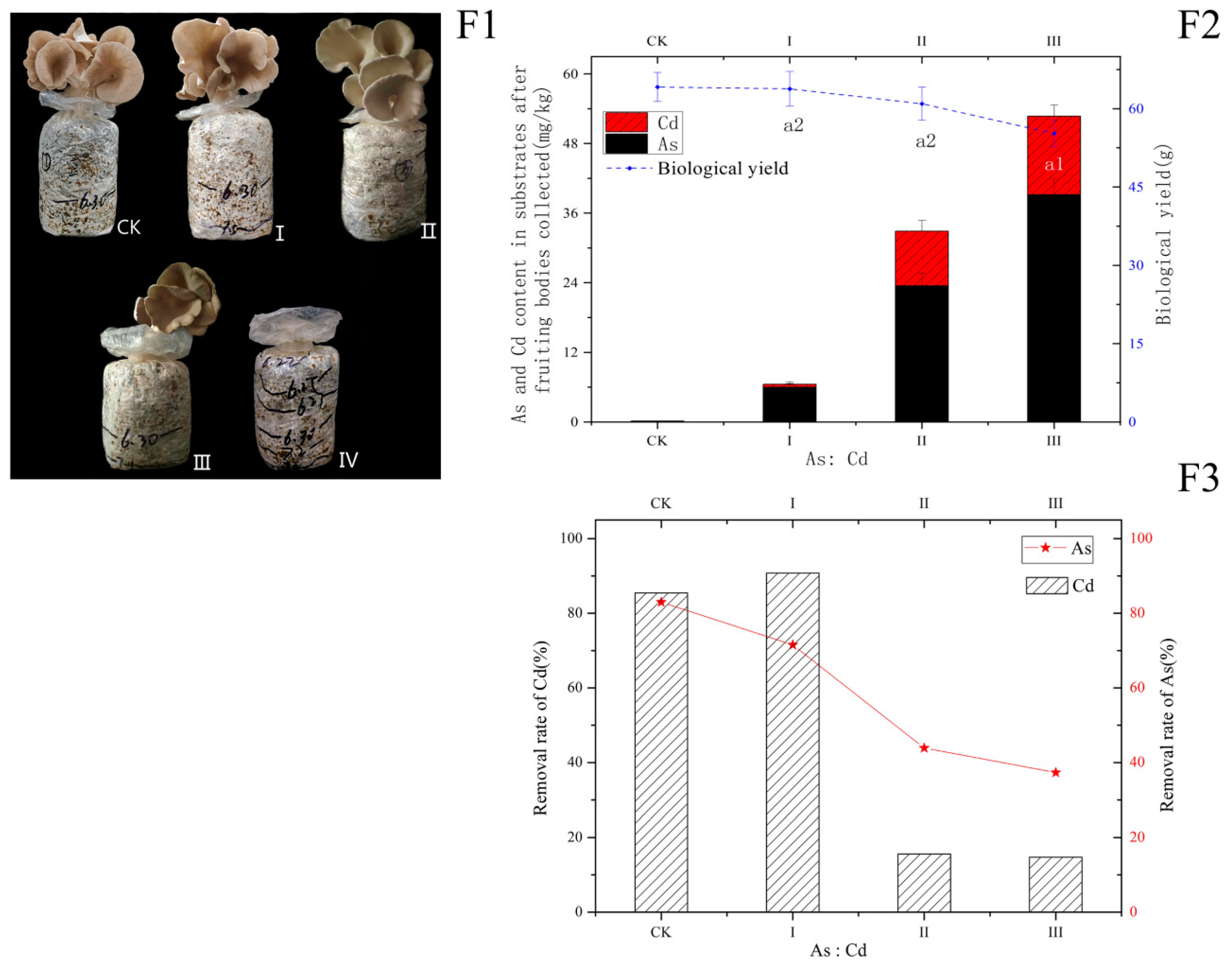 Ijerph 20 05056 g004 Ijerph 20 05056 g004