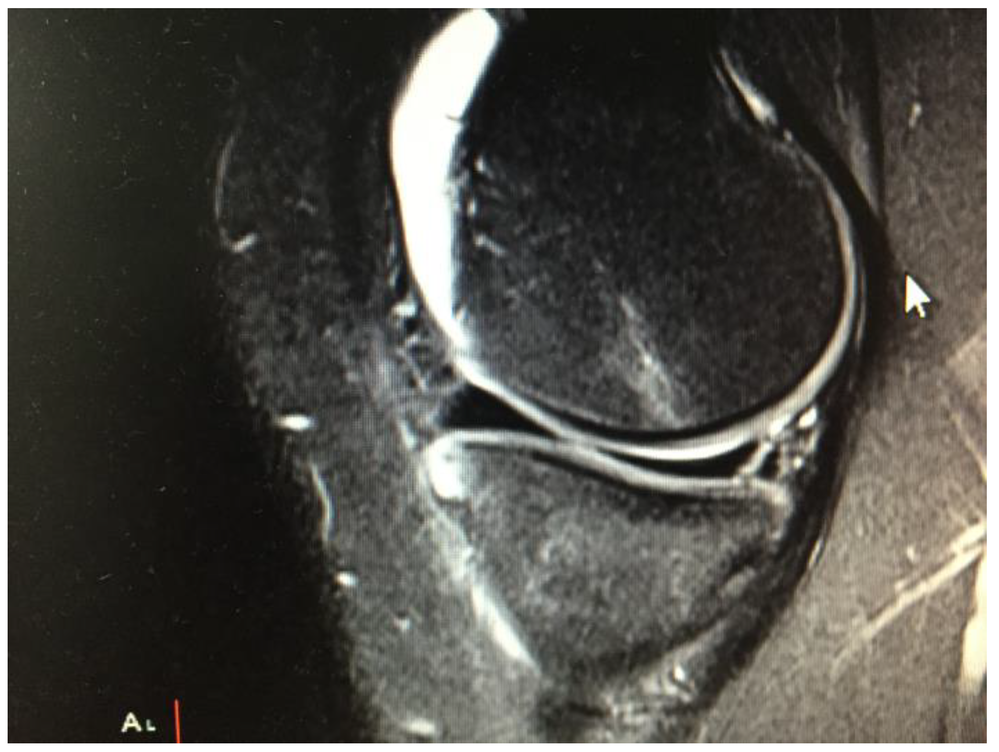 Ijerph 20 05088 g001 Ijerph 20 05088 g001