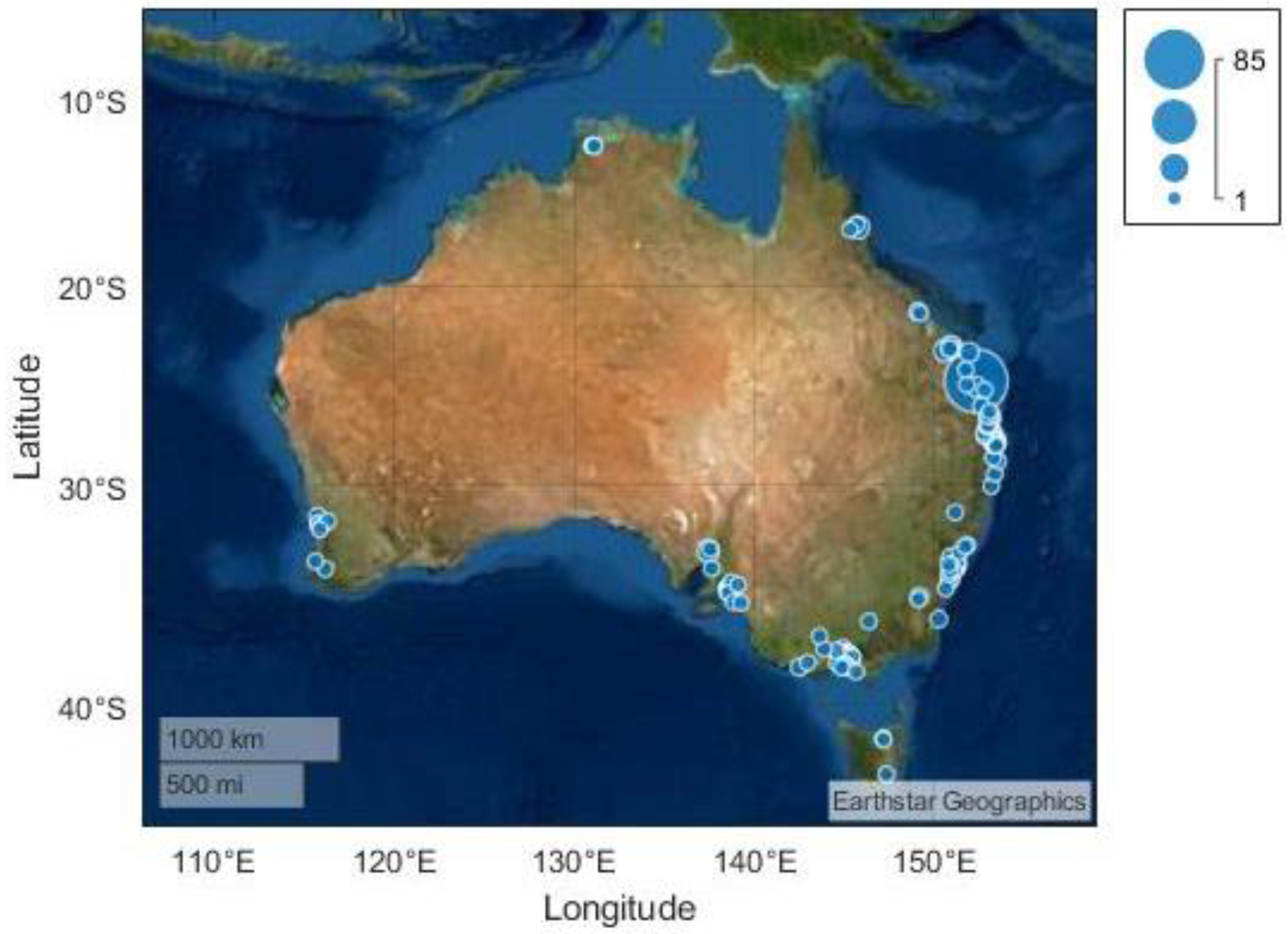 Tides 101: Learning the basics of coastal tides, Lifestyle