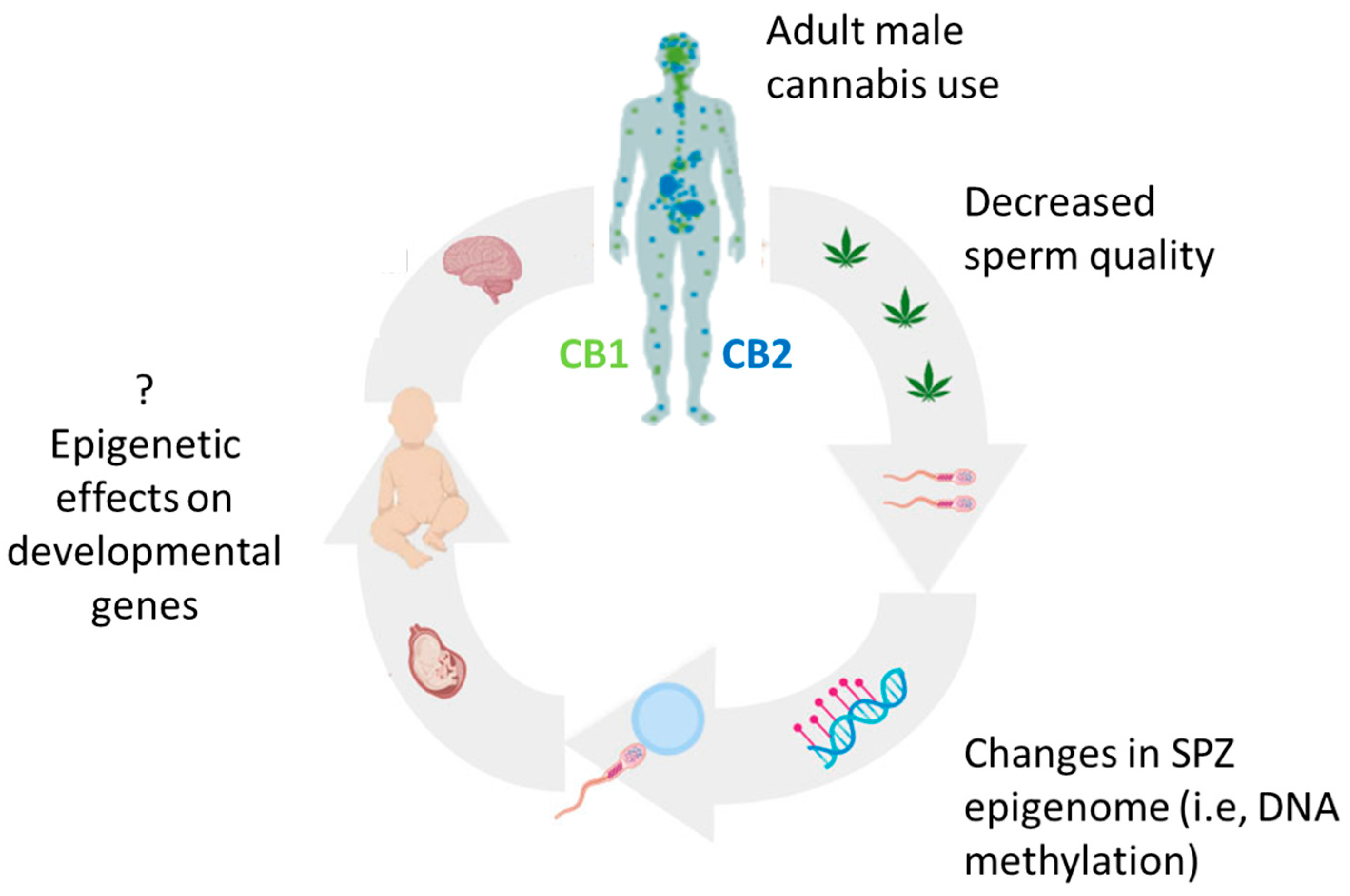 Ijerph 20 05663 g002 Ijerph 20 05663 g002