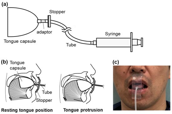 Silicone Thin Point Tongue