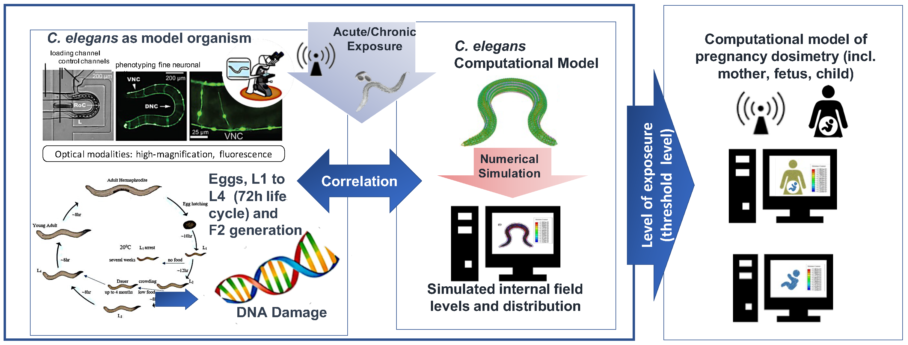 Ijerph 20 06085 g005