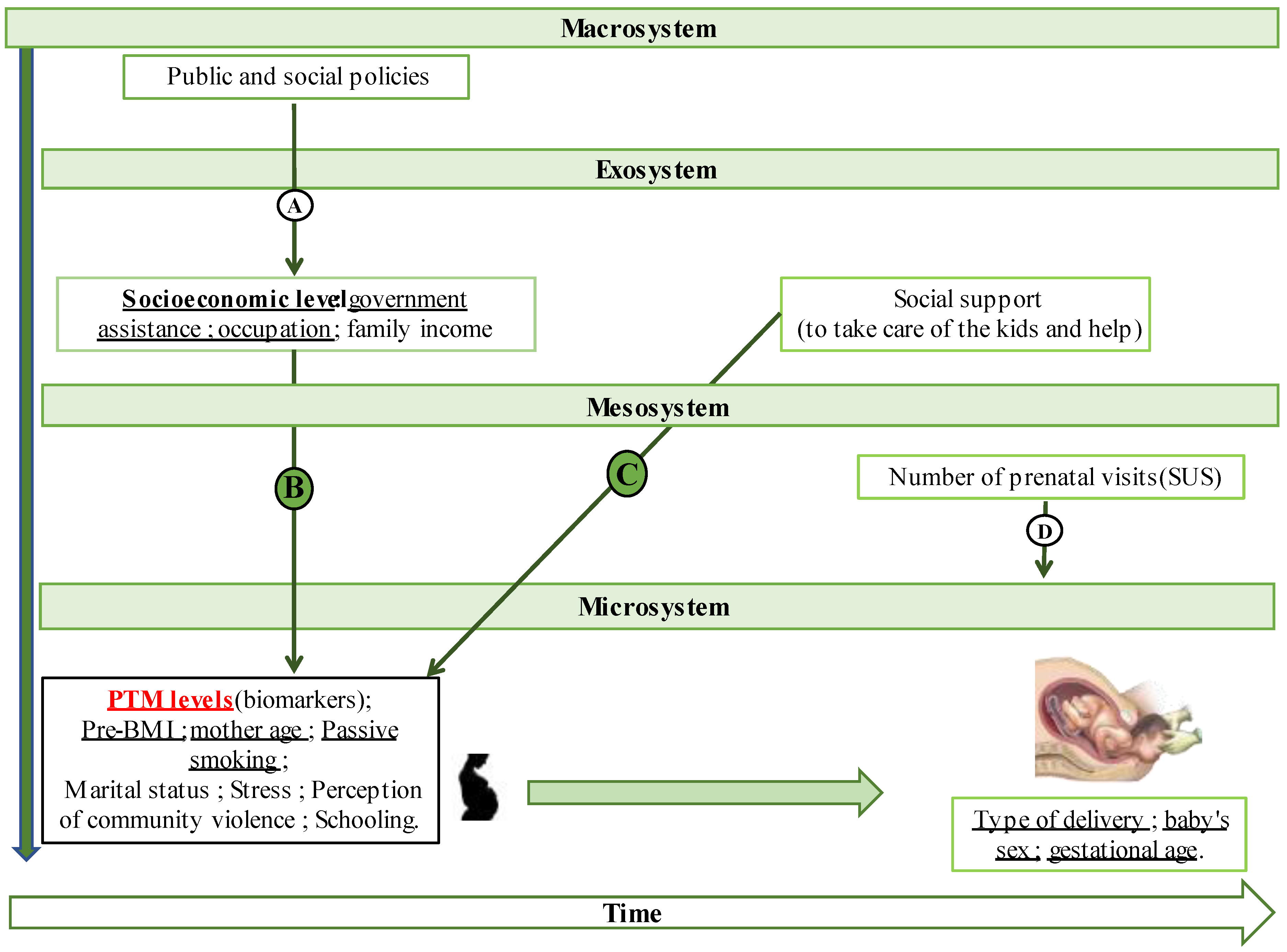 Maternal greenness exposure and preterm birth in Brazil: A