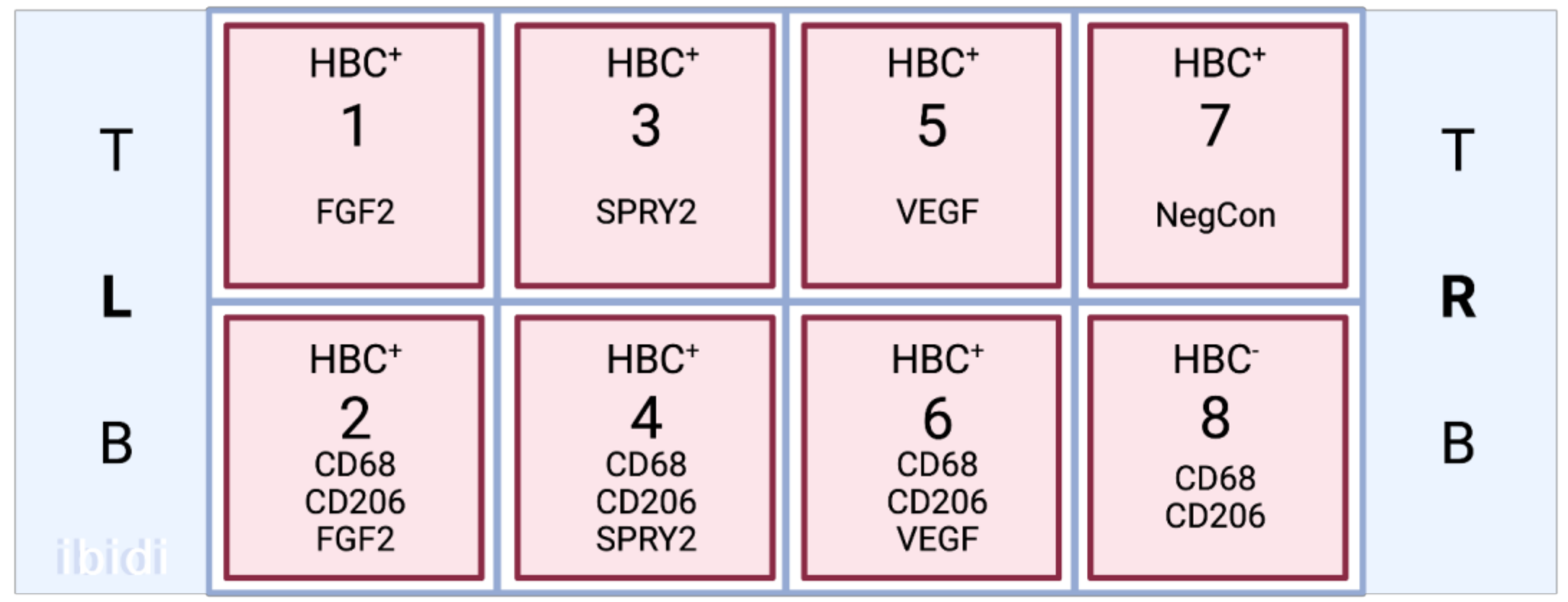 Ijerph 20 06298 g002 Ijerph 20 06298 g002