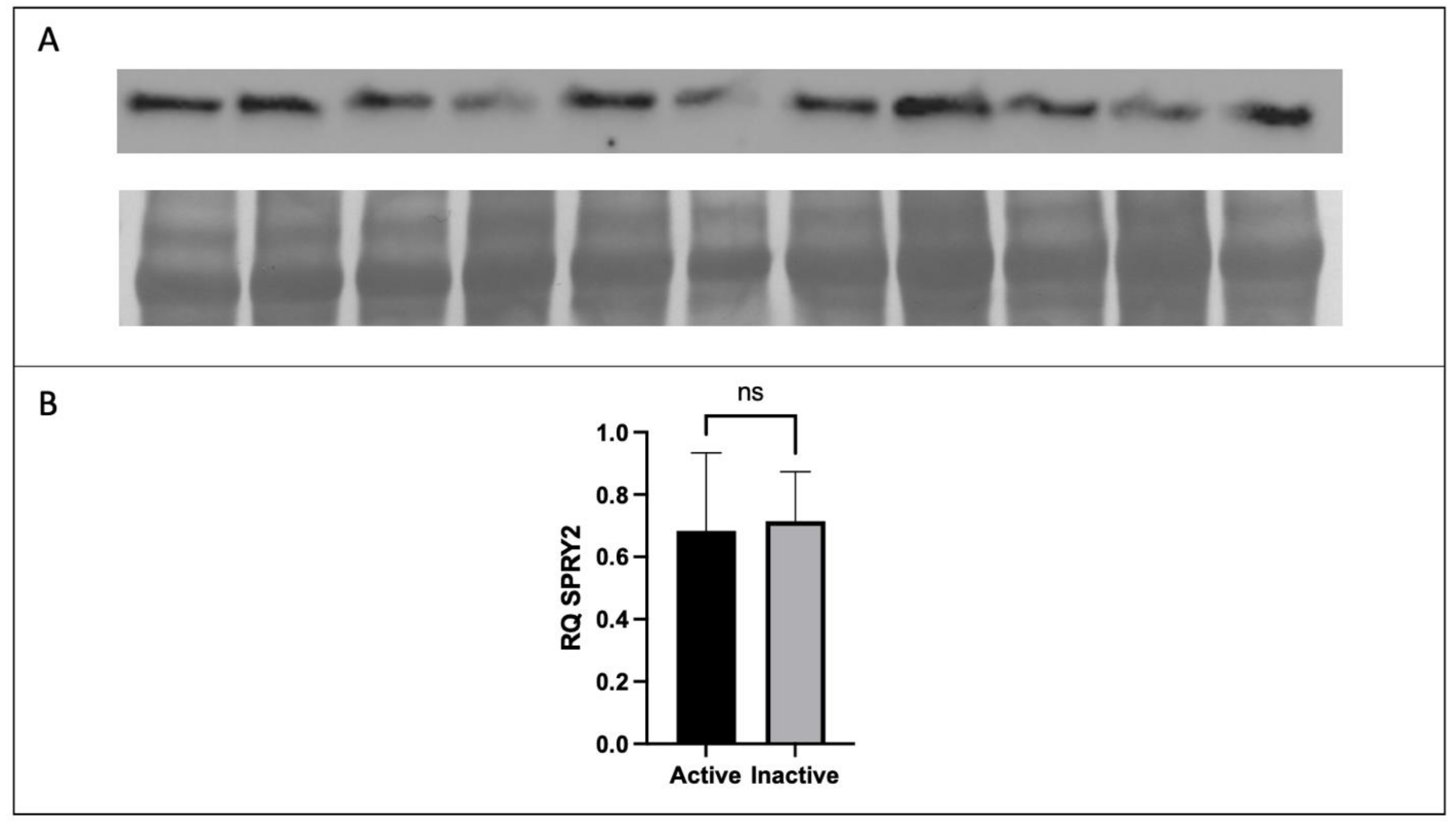 Ijerph 20 06298 g004 Ijerph 20 06298 g004