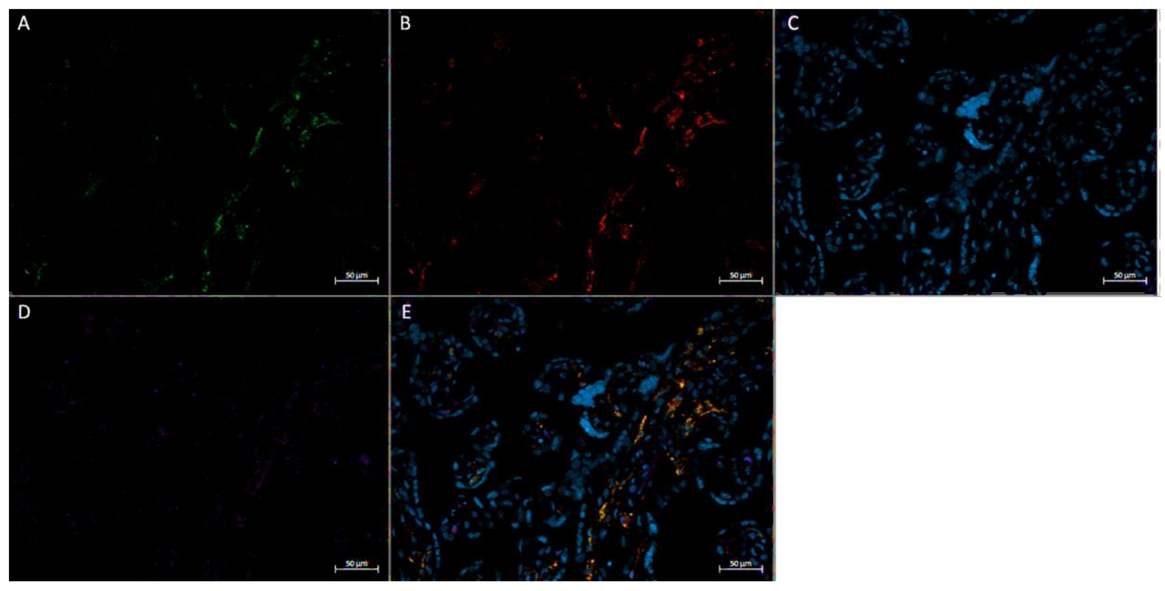 Ijerph 20 06298 g005 Ijerph 20 06298 g005