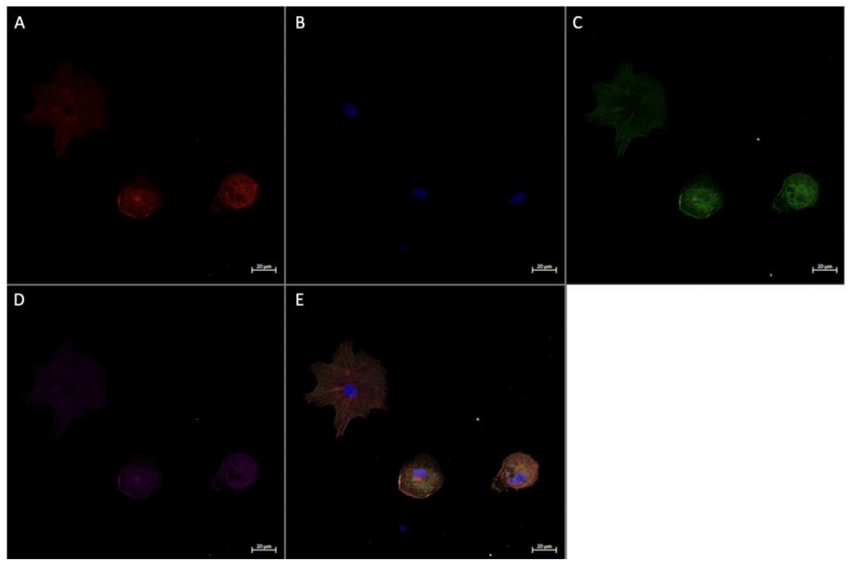 Ijerph 20 06298 g007 Ijerph 20 06298 g007
