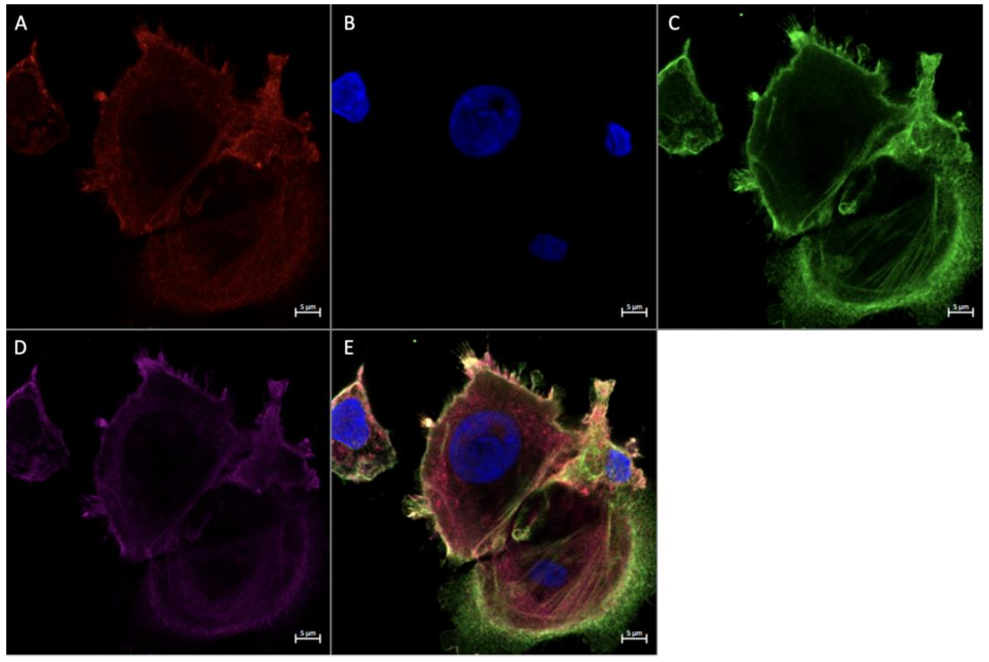 Ijerph 20 06298 g008 Ijerph 20 06298 g008