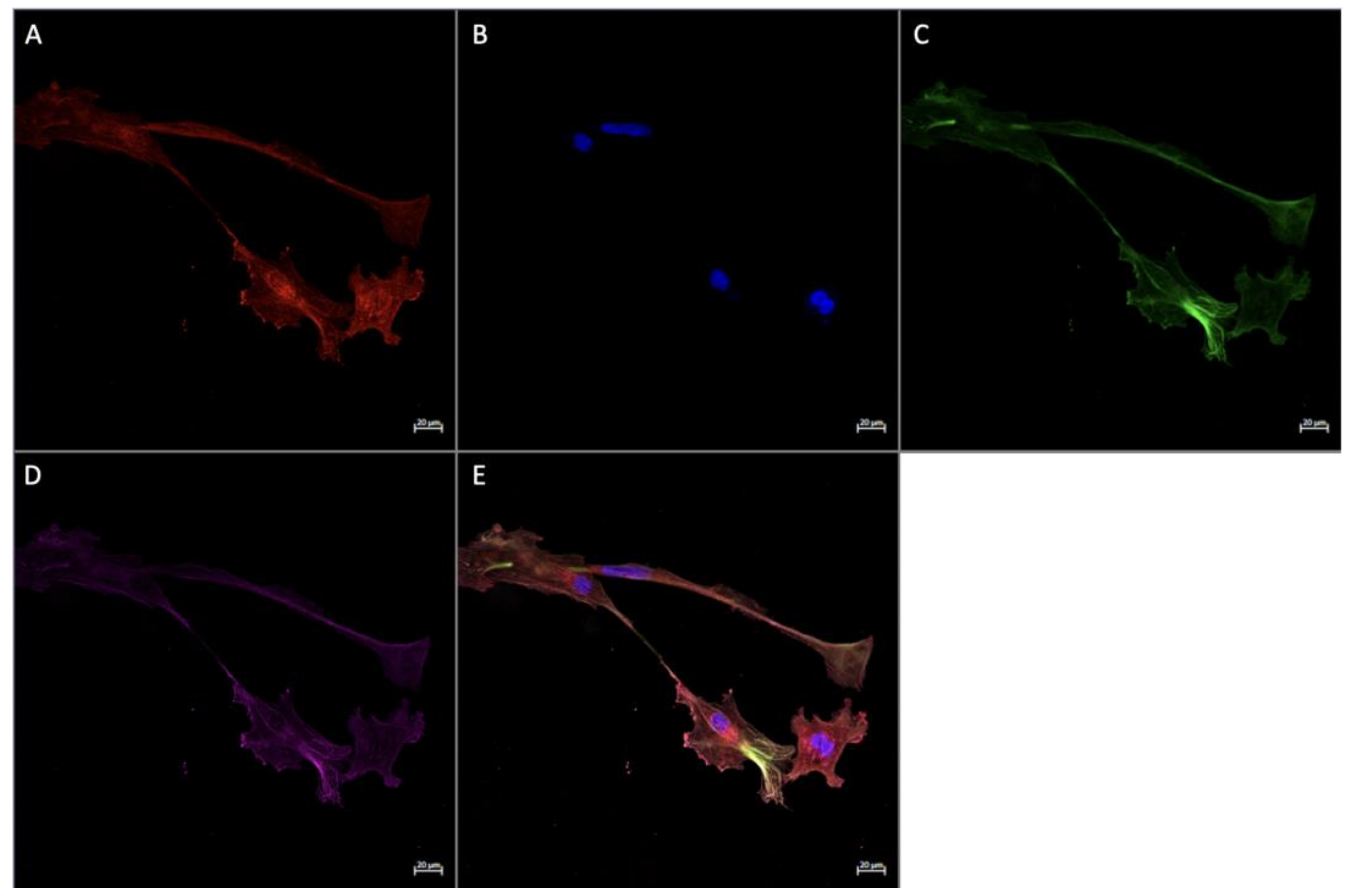 Ijerph 20 06298 g010 Ijerph 20 06298 g010