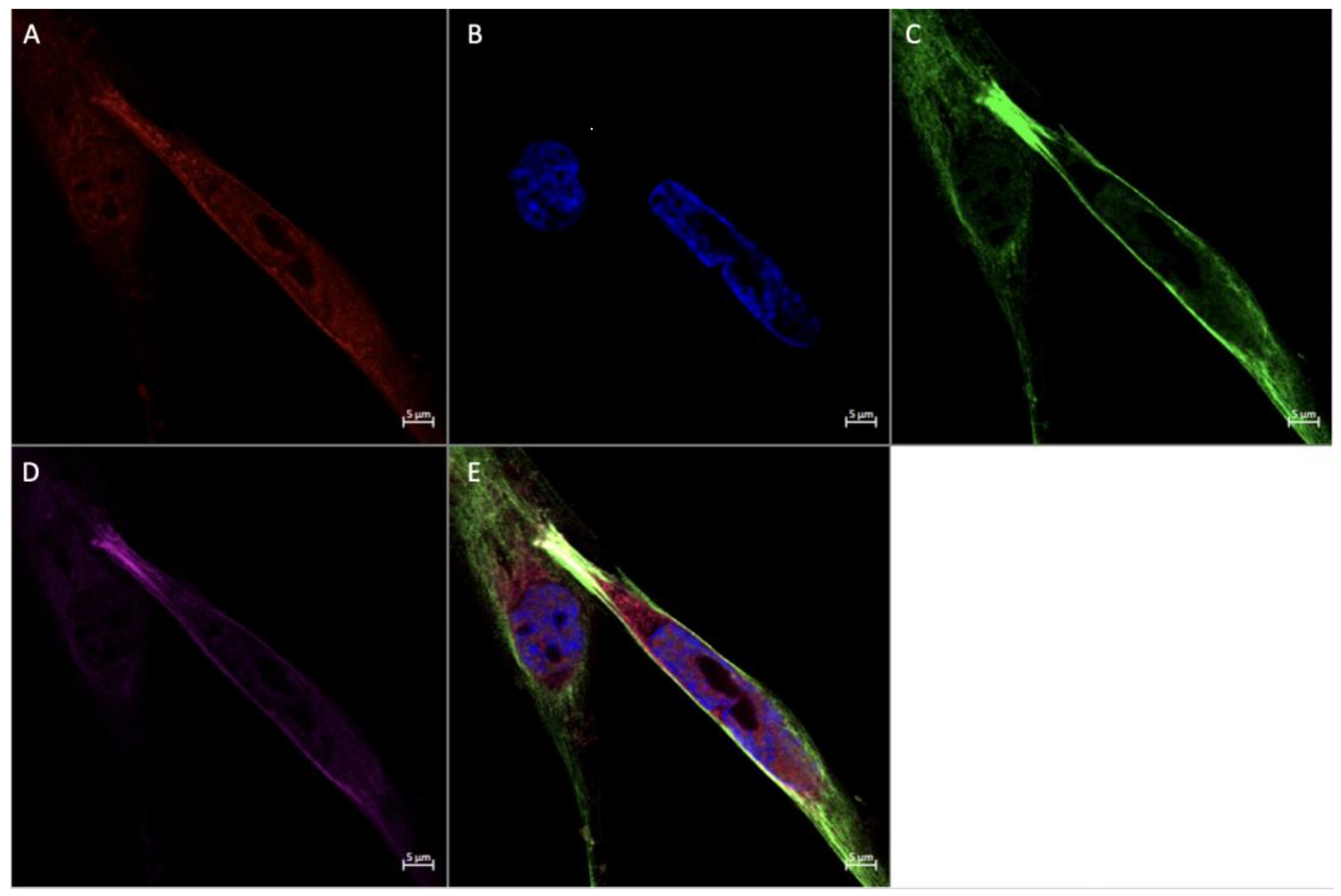 Ijerph 20 06298 g011 Ijerph 20 06298 g011