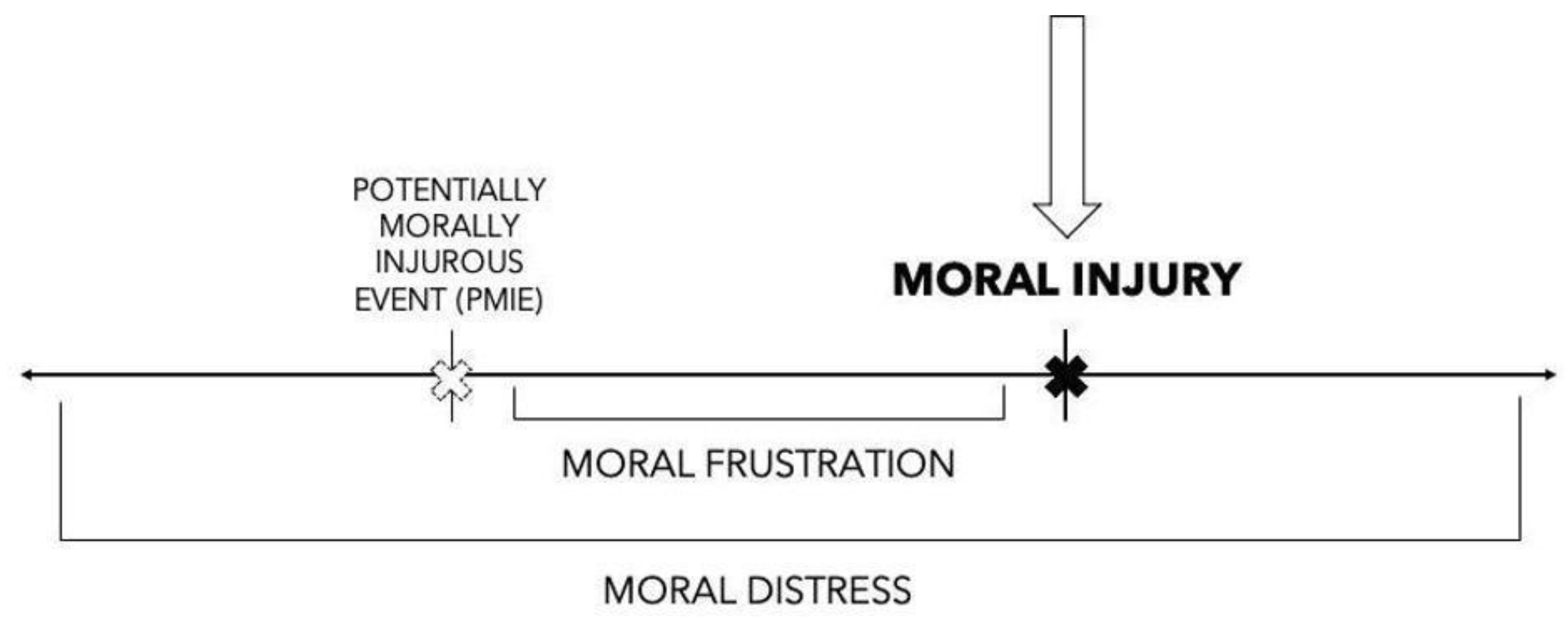 IJERPH | Free Full-Text | The Association of Moral Injury and