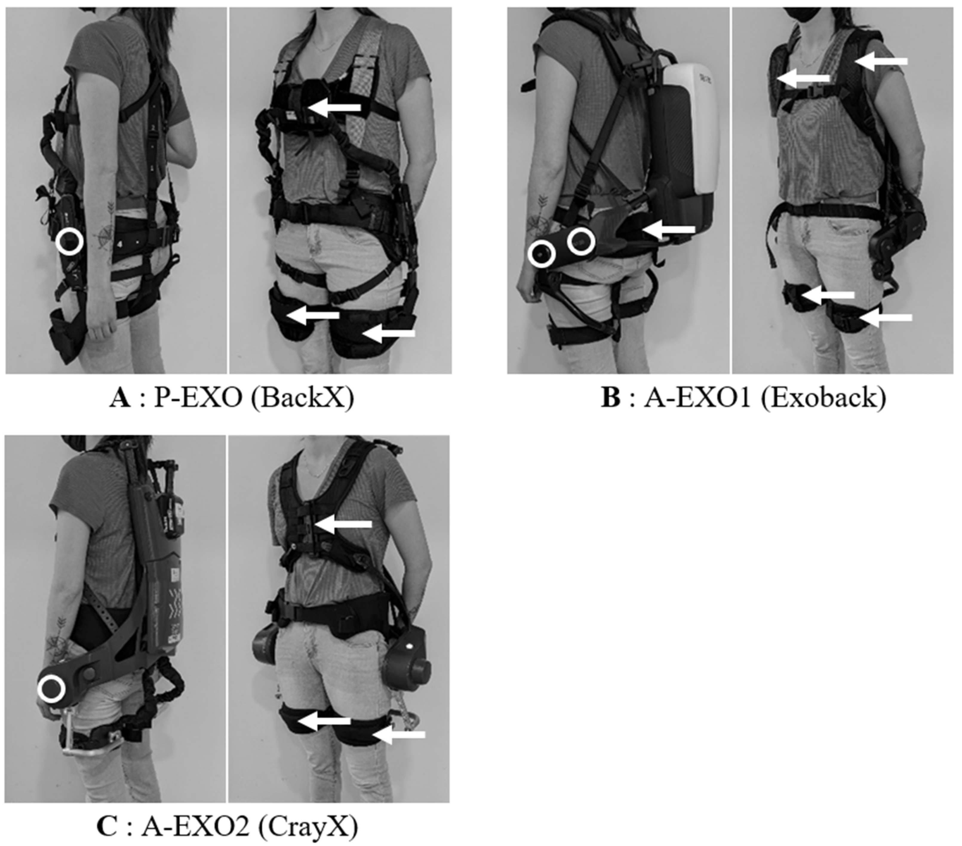 Ijerph 20 06468 g002