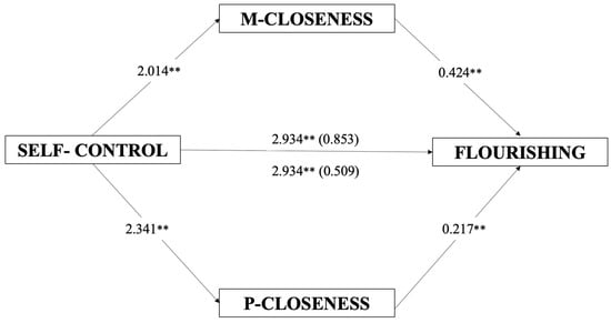 Family Closeness and Presence of Meaning Subscale Pearson r