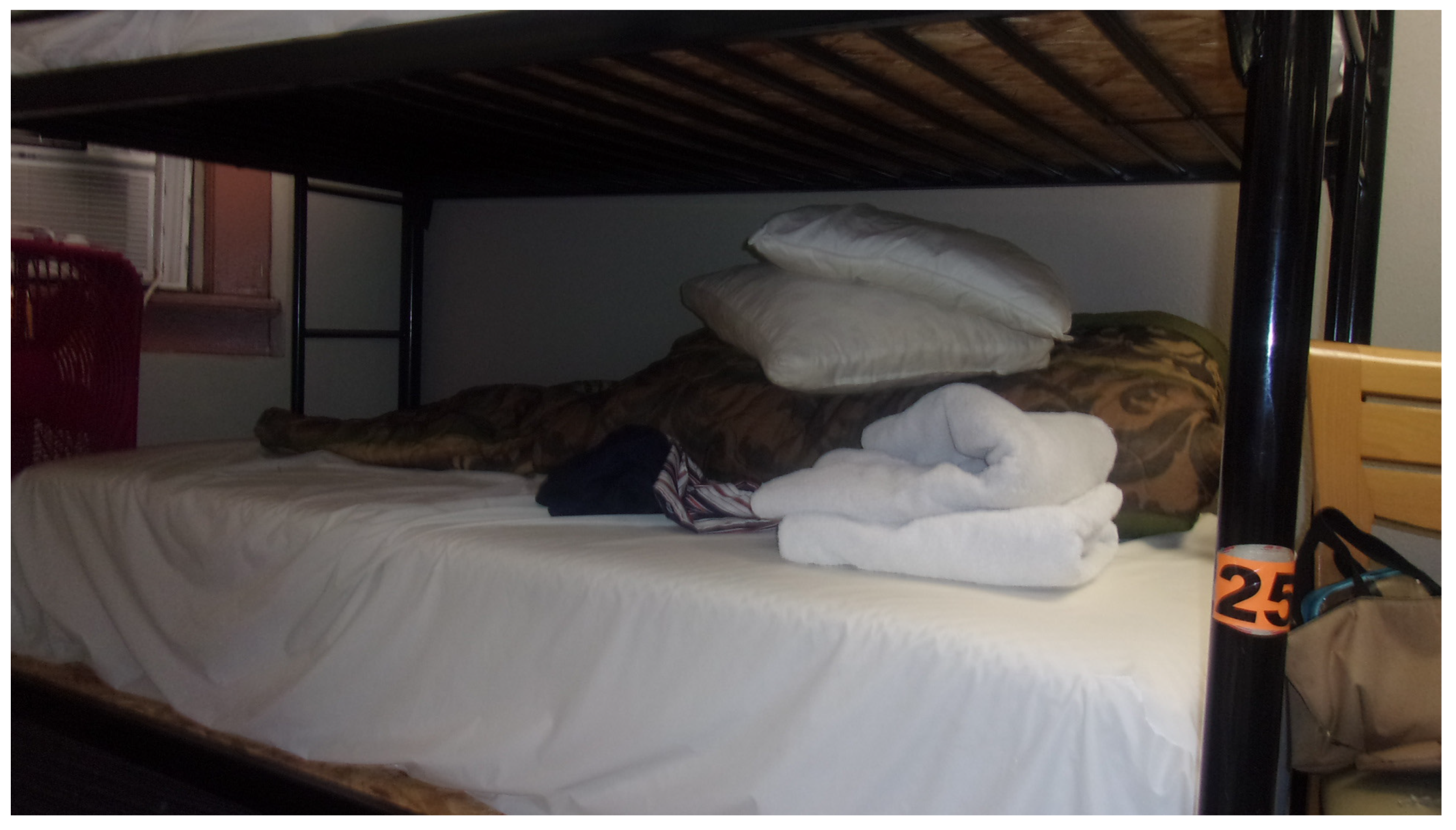 Ijerph 21 00195 g002