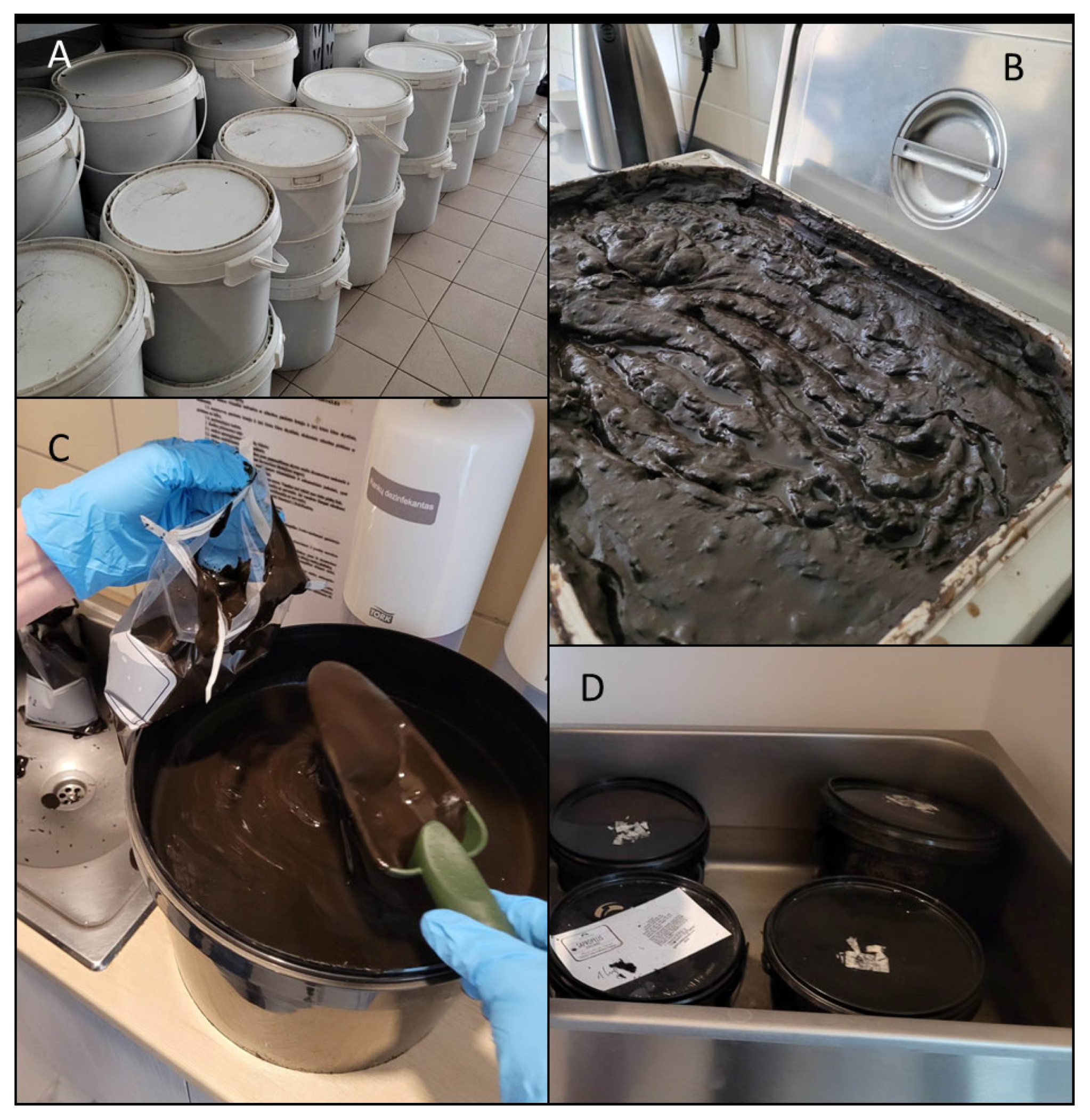 Ijerph 21 00335 g001