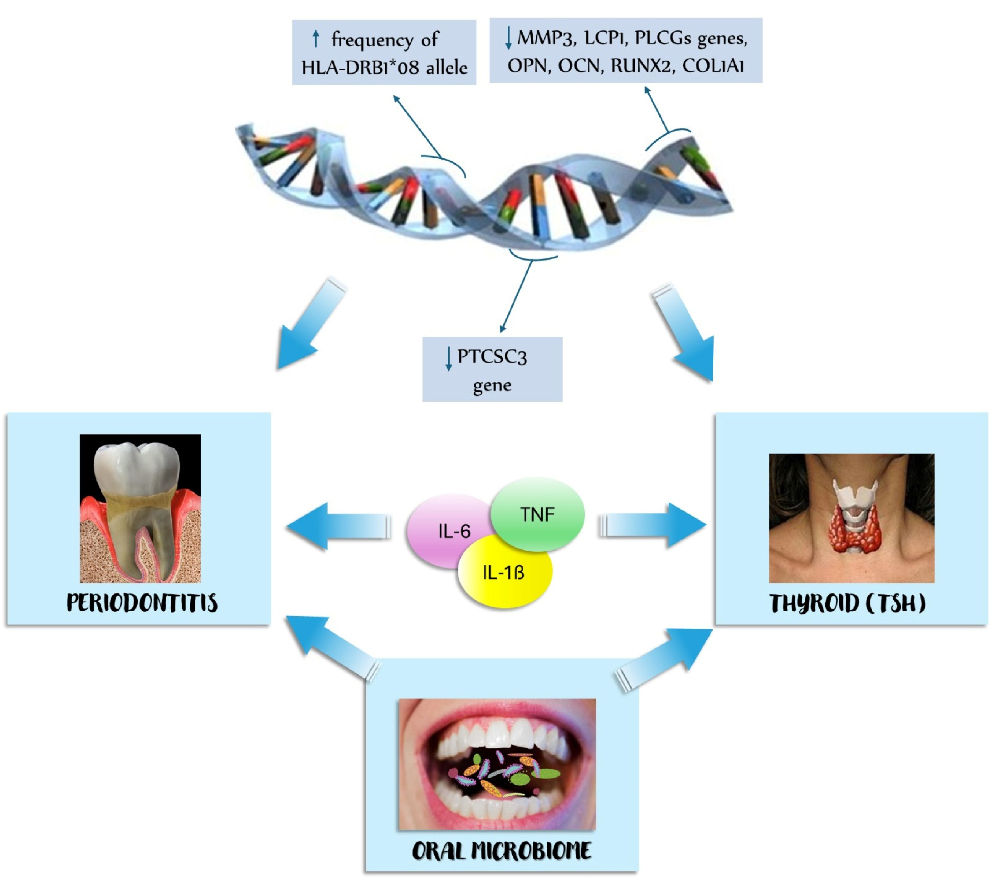 Ijerph 21 00860 g002