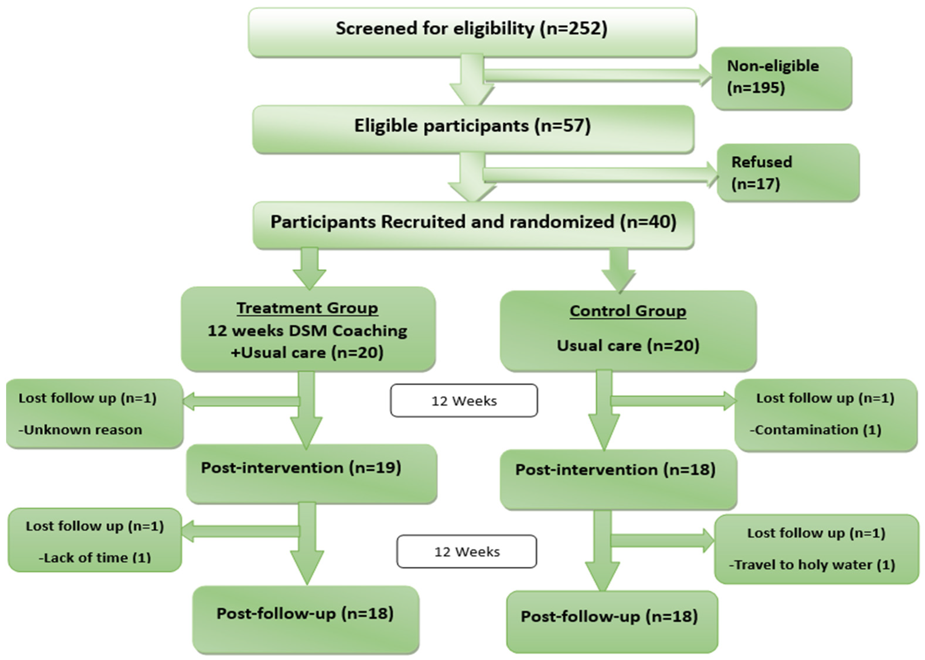 Ijerph 21 01032 g001