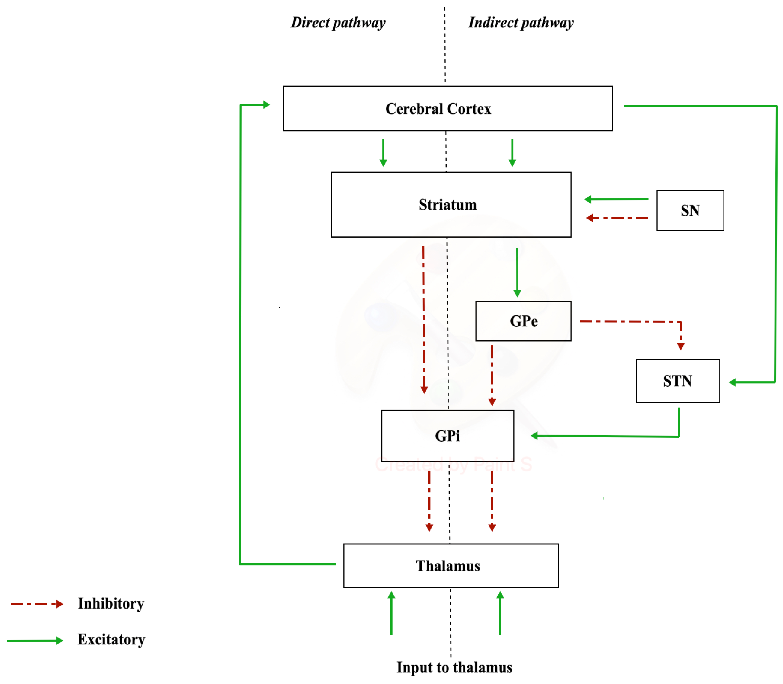 Ijerph 21 01105 g001