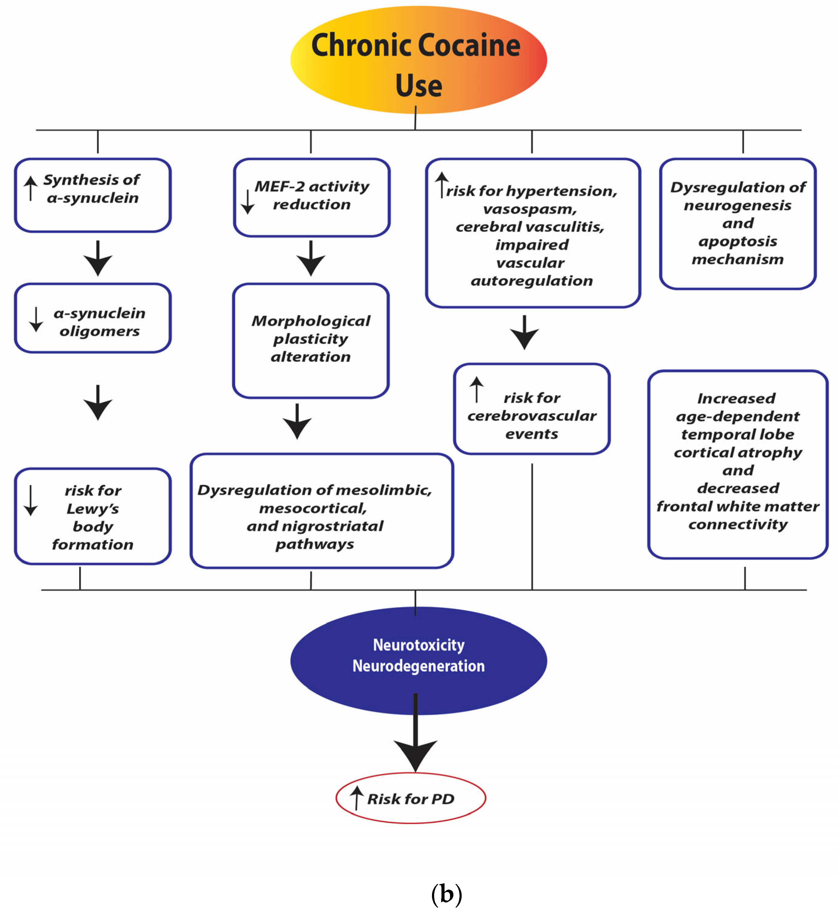 Ijerph 21 01105 g004b