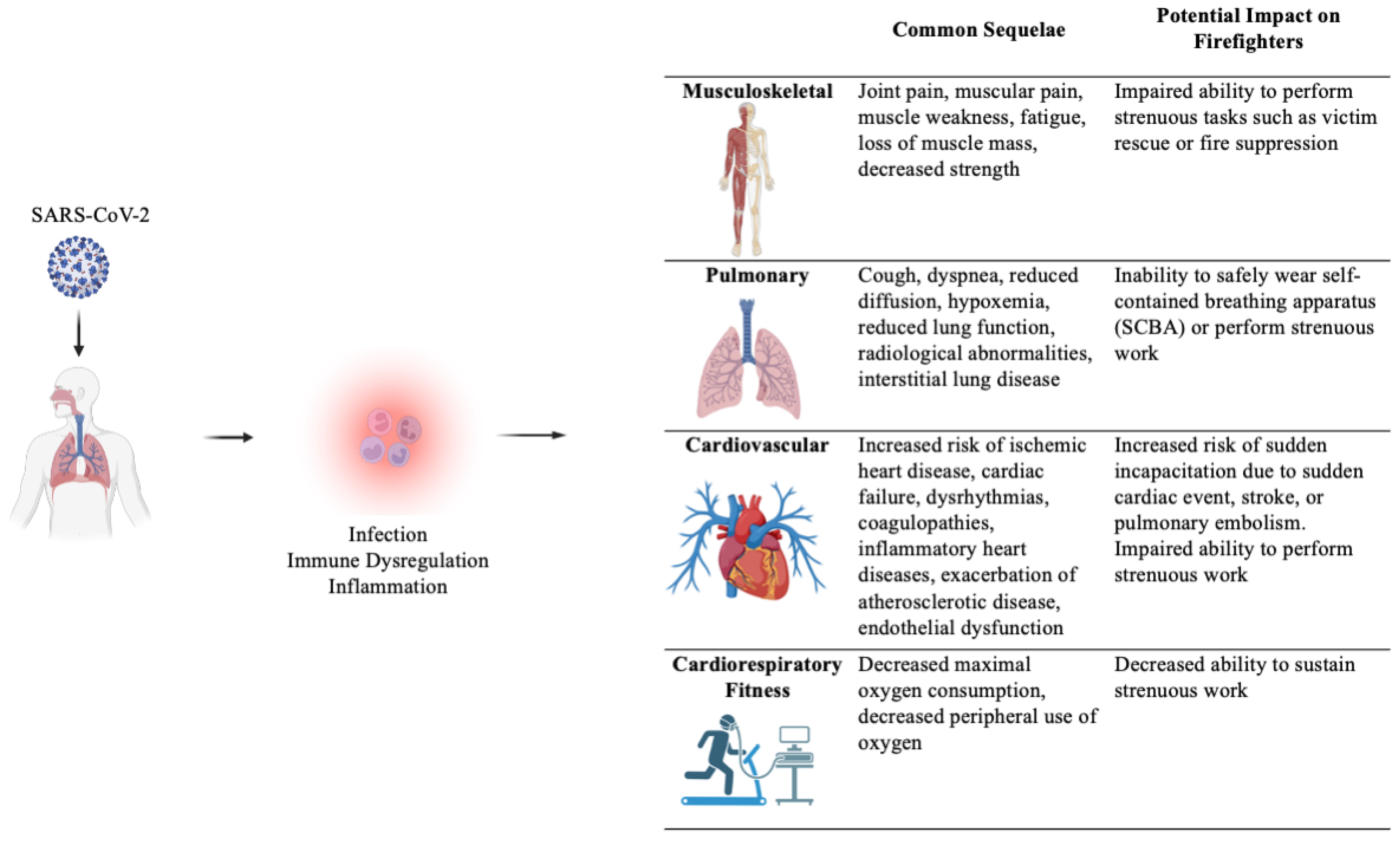 Ijerph 21 01383 g001 Ijerph 21 01383 g001