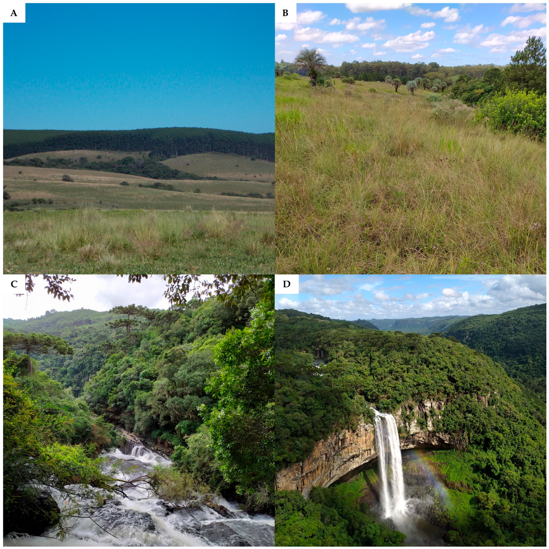 Ijerph 22 00305 g002 Ijerph 22 00305 g002