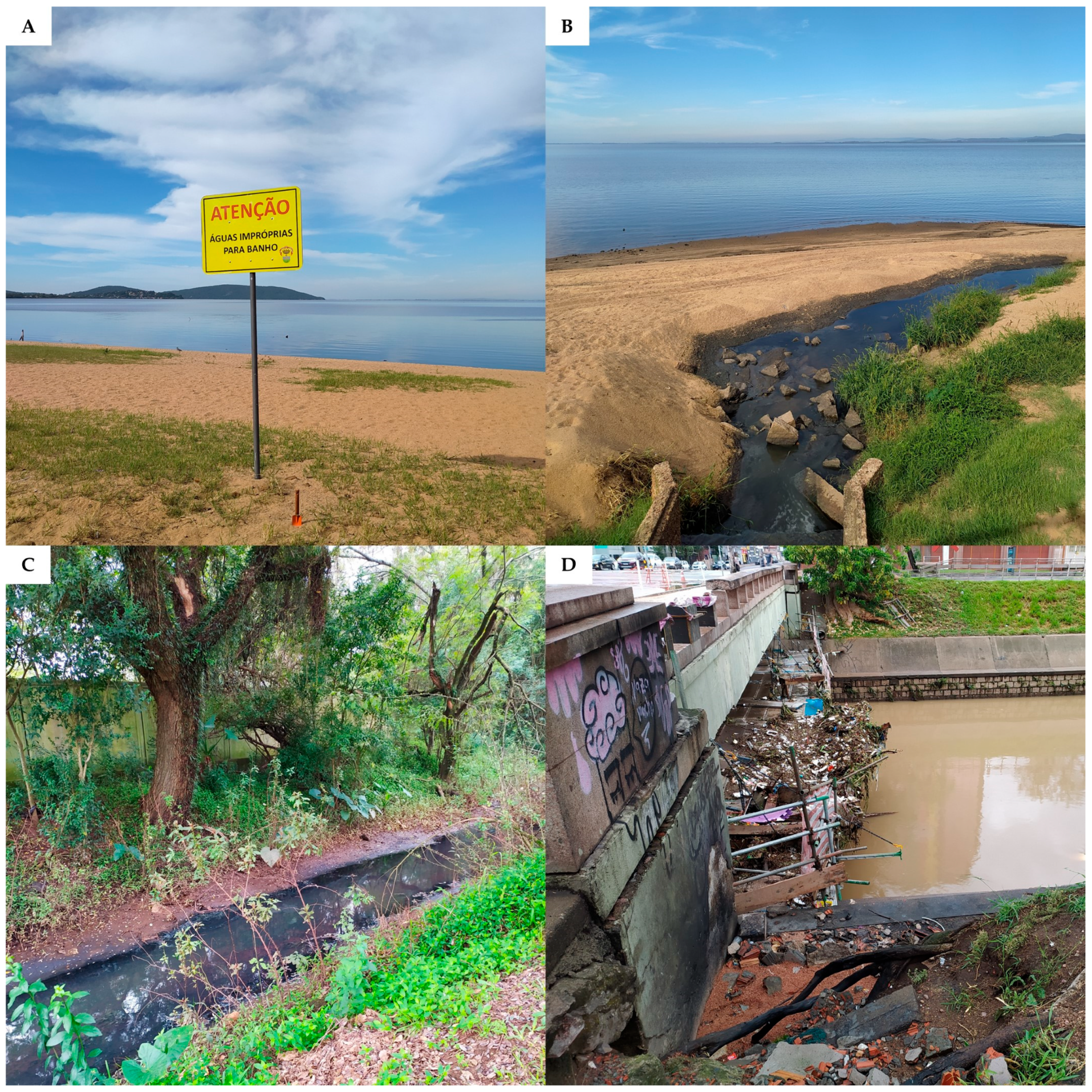 Ijerph 22 00305 g006 Ijerph 22 00305 g006