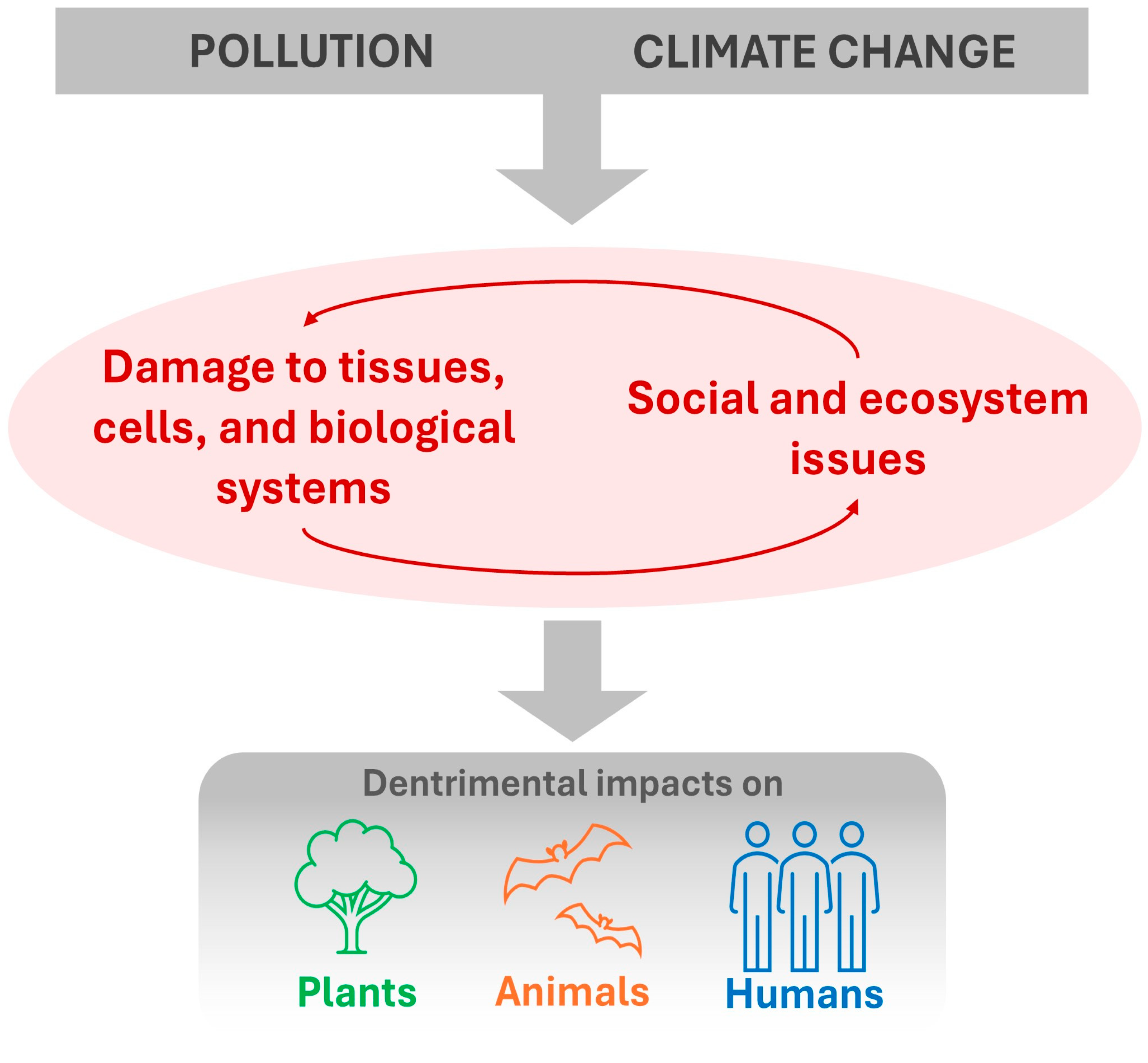 Ijerph 22 00305 g007 Ijerph 22 00305 g007