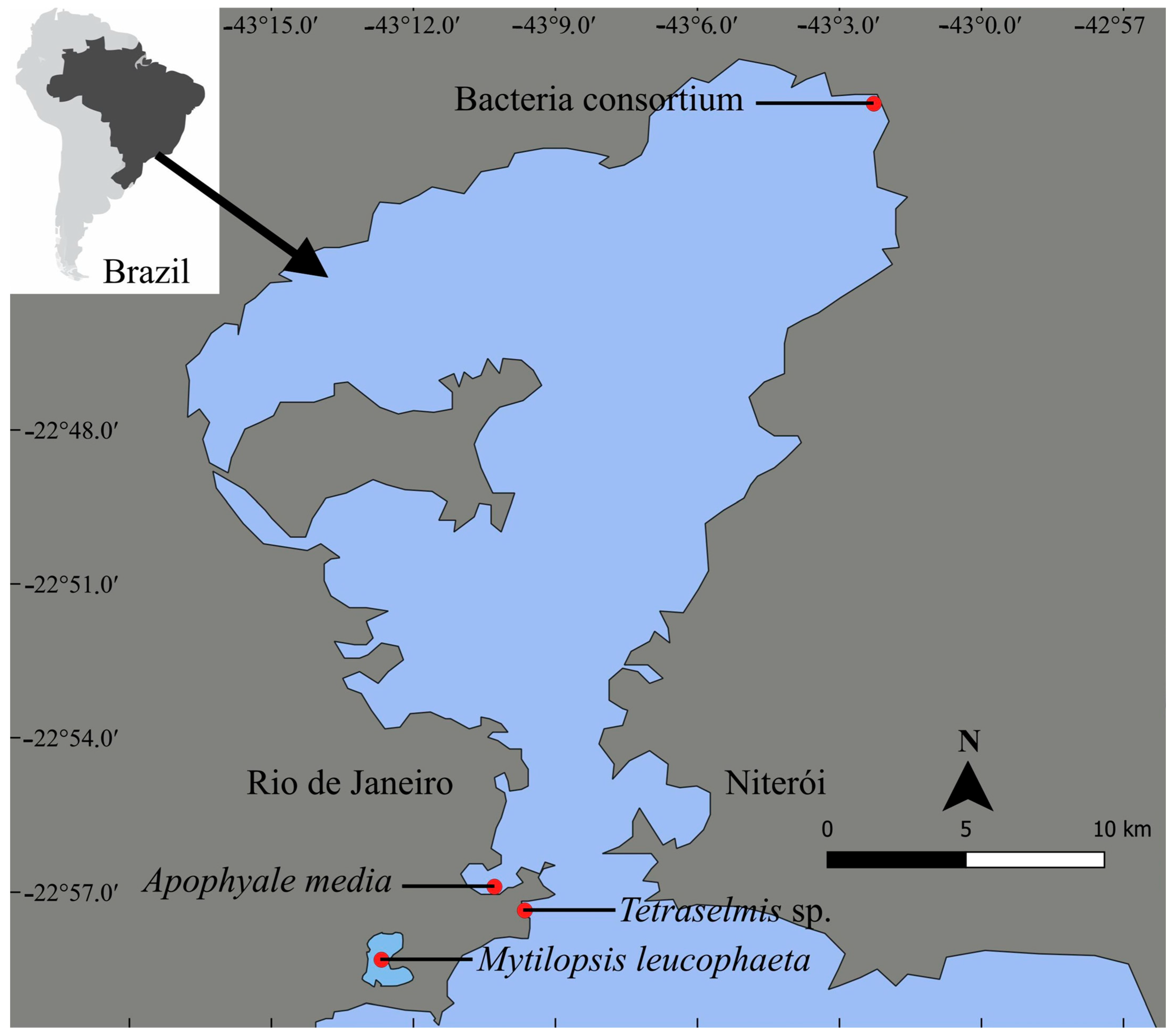 Ijerph 22 00402 g001 Ijerph 22 00402 g001